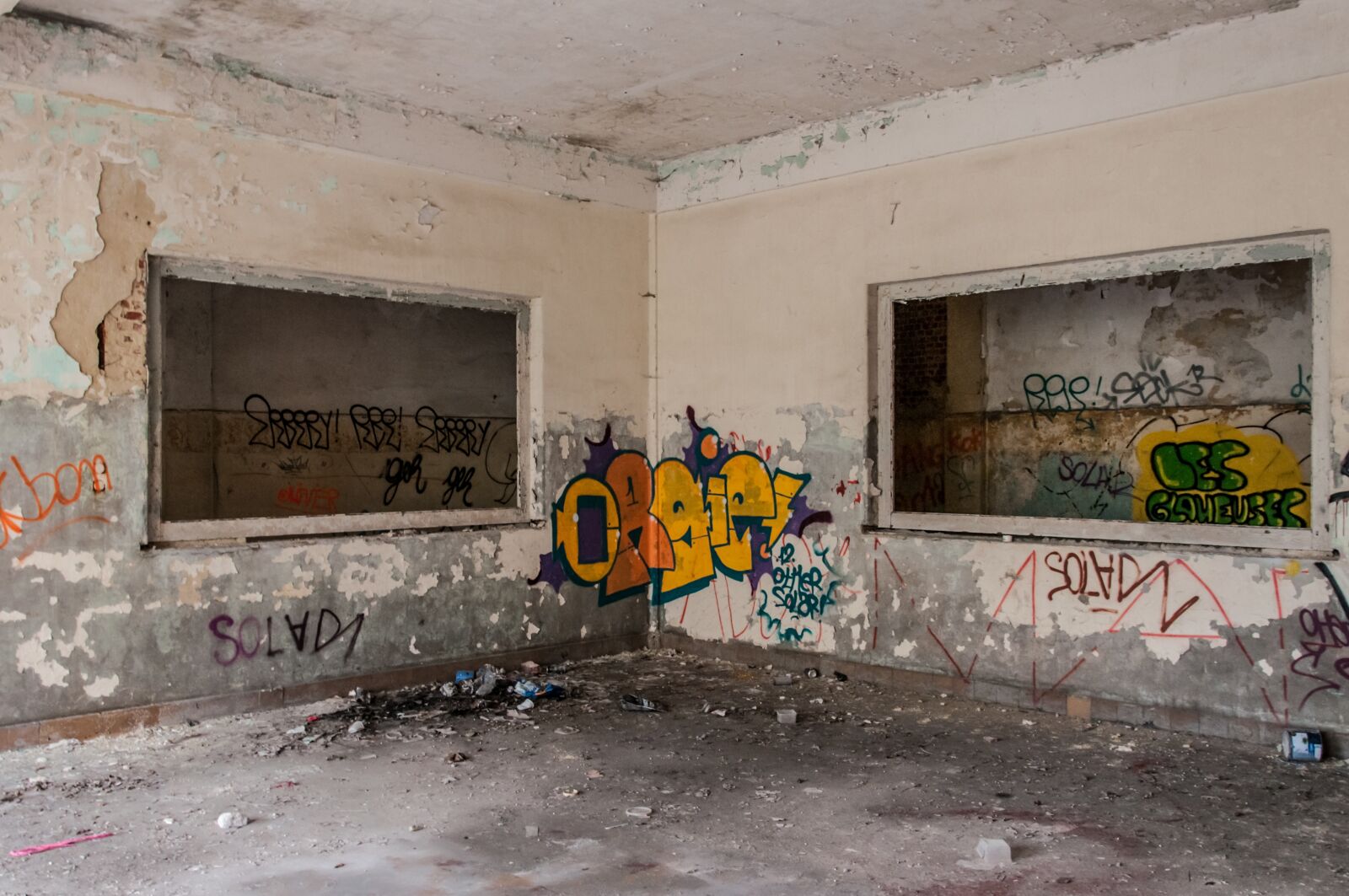 Nikon D90 sample photo. Background, building, leave photography