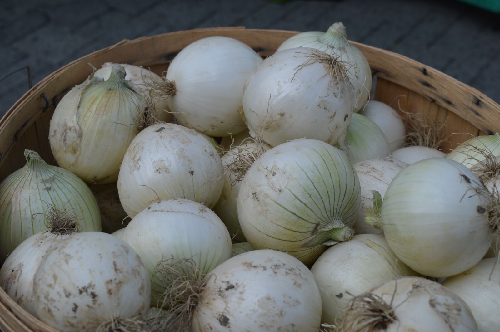 Nikon D3200 sample photo. Onions, white, vegetable photography
