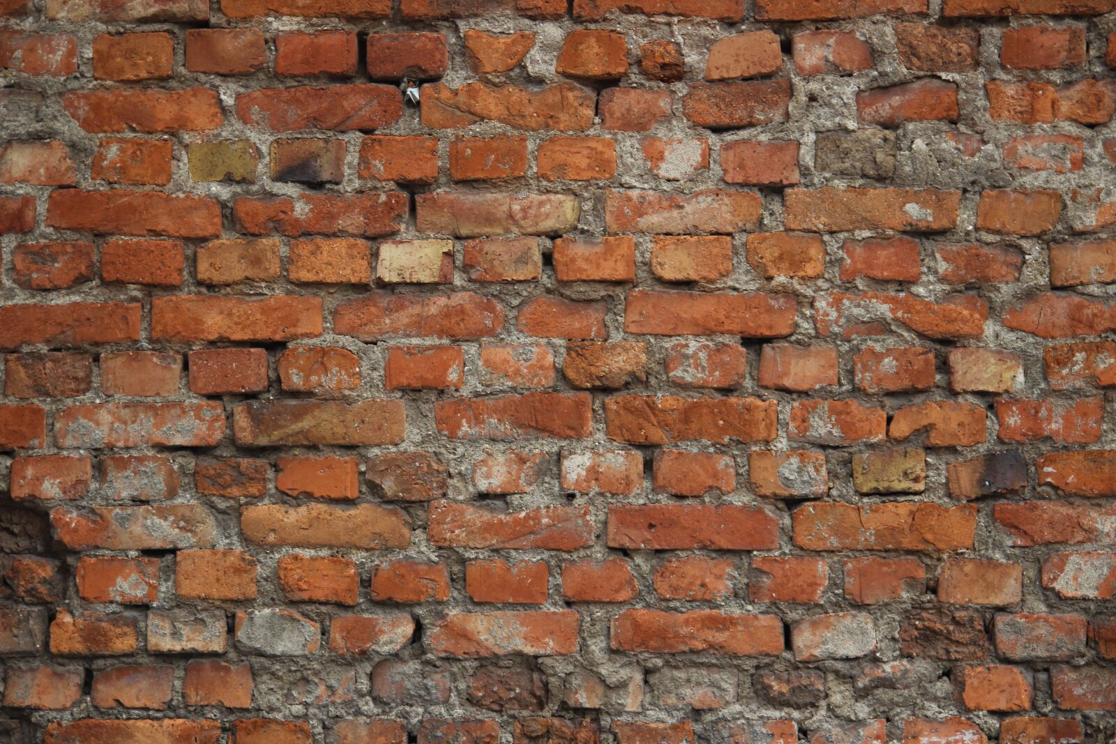 Canon EOS 600D (Rebel EOS T3i / EOS Kiss X5) sample photo. Brick, wall, architecture photography