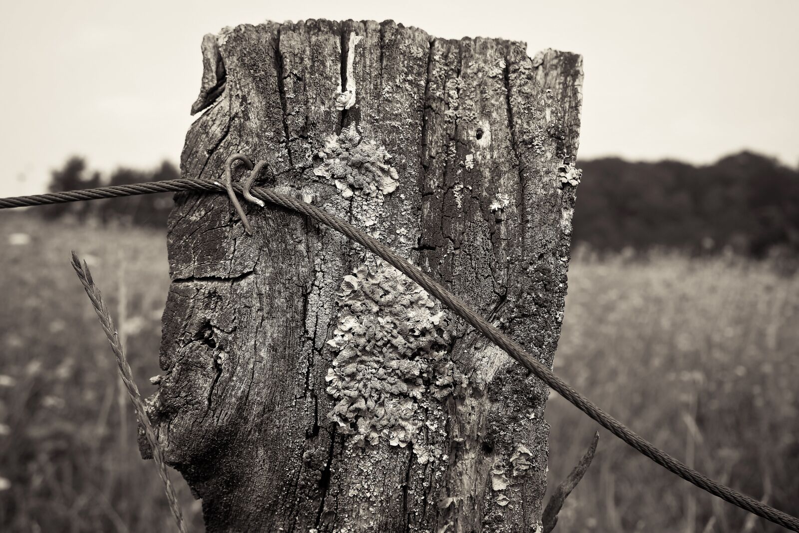 Olympus OM-D E-M10 sample photo. Fence, pile, wood photography