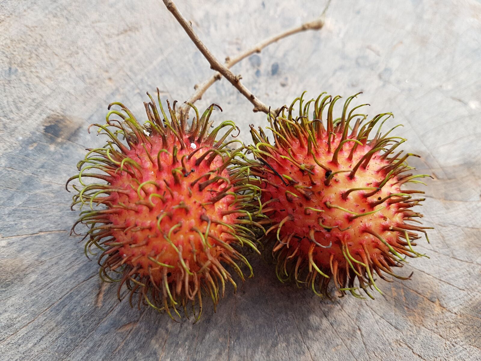 Samsung Galaxy S7 sample photo. Fruit, season, tropical photography
