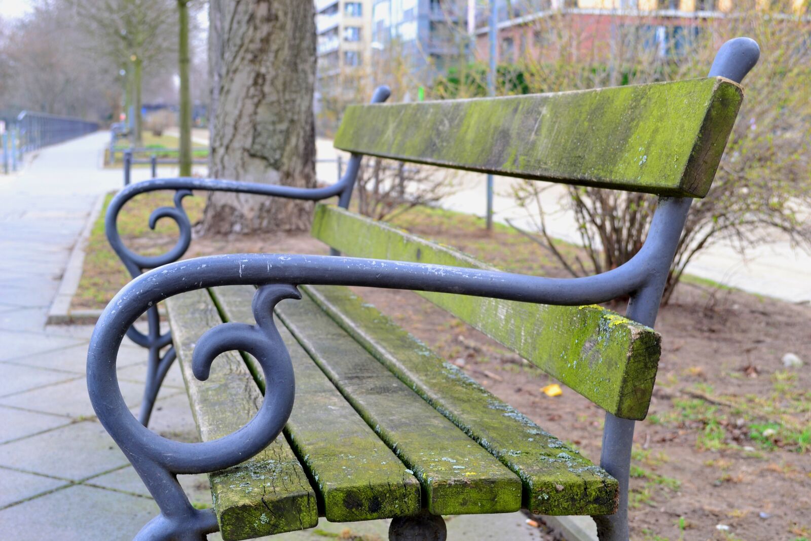 Nikon D3100 sample photo. Bank, park, park bench photography