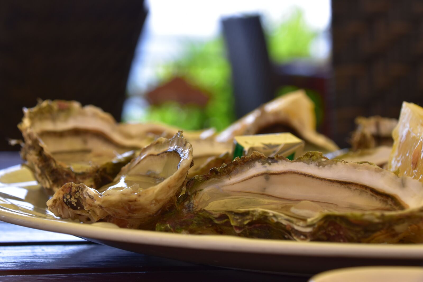 Nikon D5500 sample photo. Oysters, restaurant, bouzigues photography