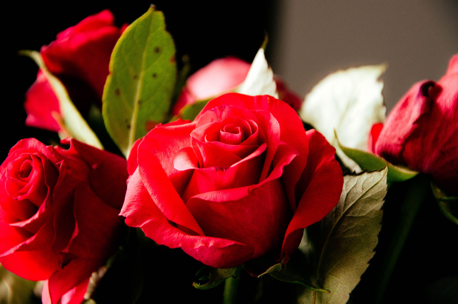 Nikon D3200 sample photo