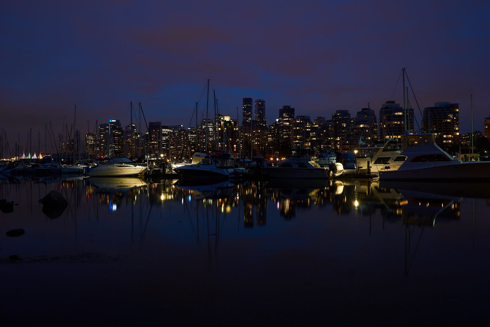 Sigma 19mm F2.8 EX DN sample photo. Vancouver, park, canada photography