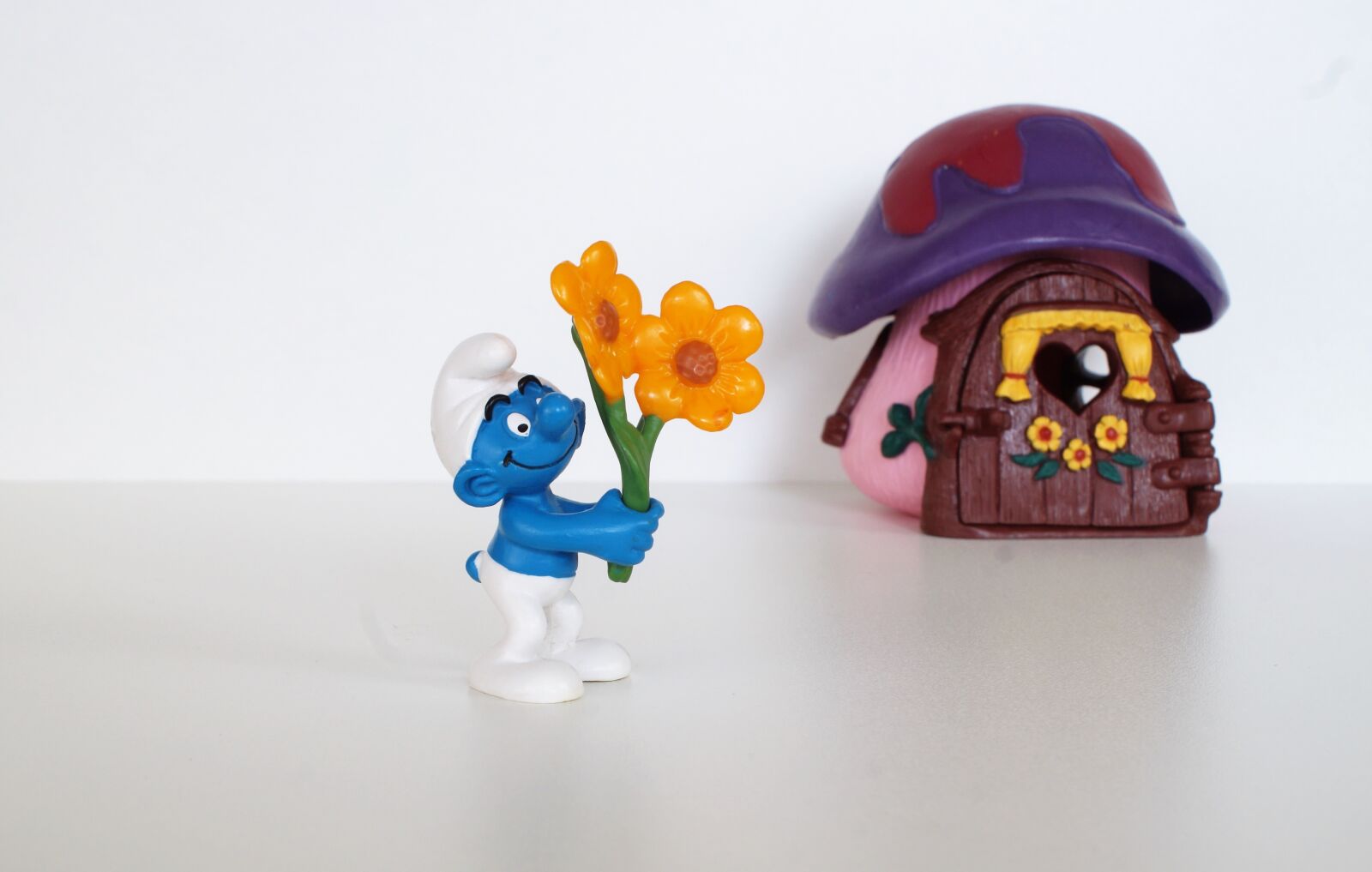 Sony DT 18-70mm F3.5-5.6 sample photo. Smurf, smurfs, gardener schlumpf photography