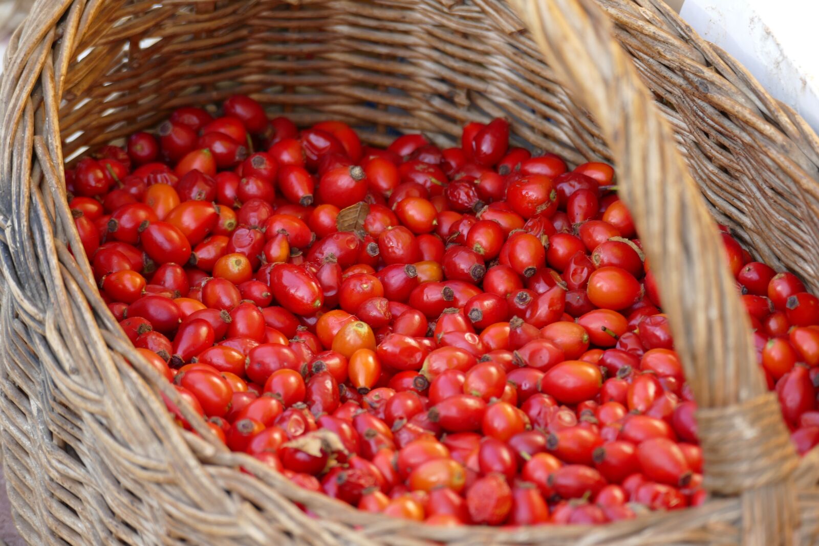 Panasonic Lumix DMC-FZ1000 sample photo. Rose hip, basket, red photography
