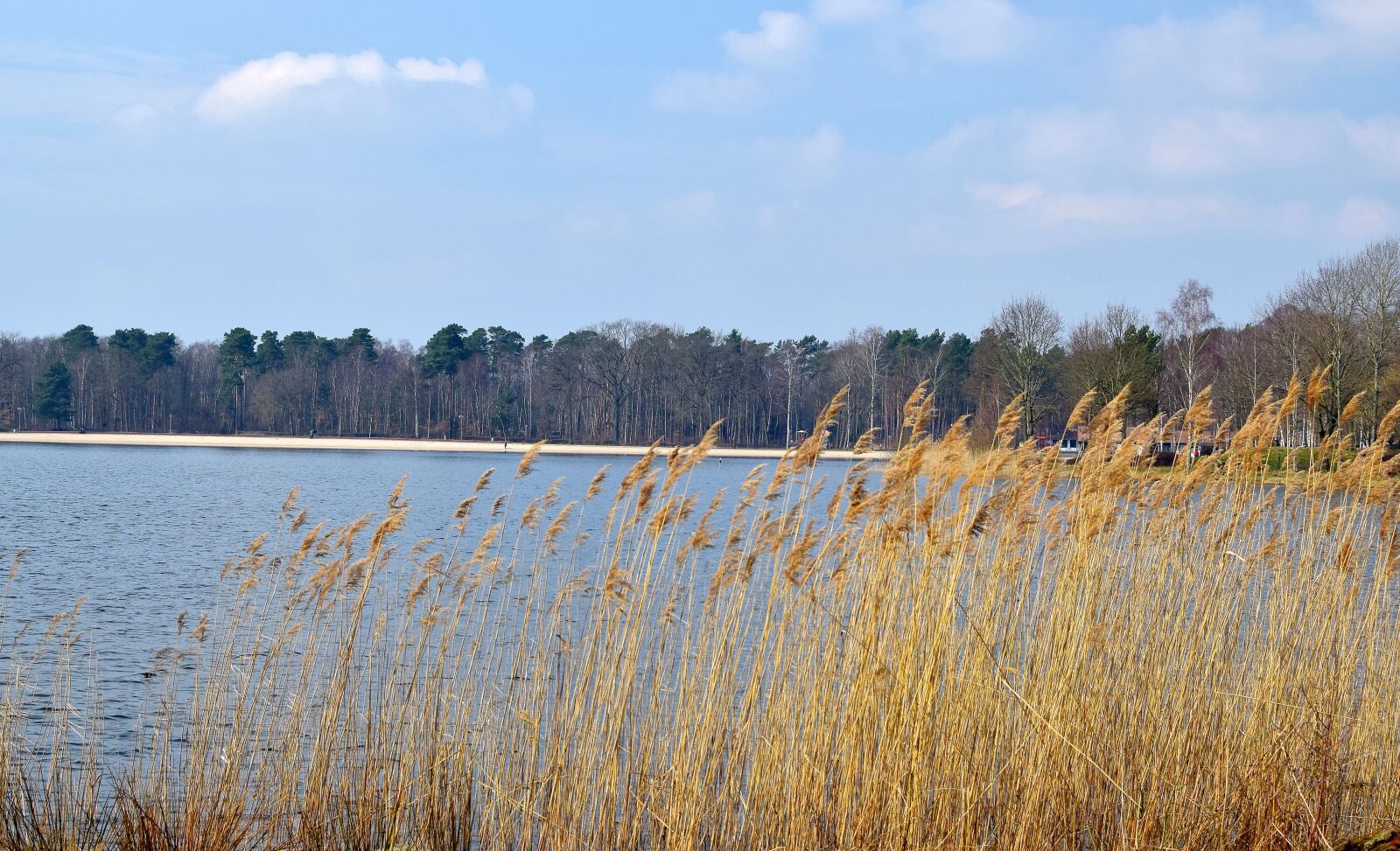Nikon D5300 sample photo. Riddagshausen, recovery, nature photography