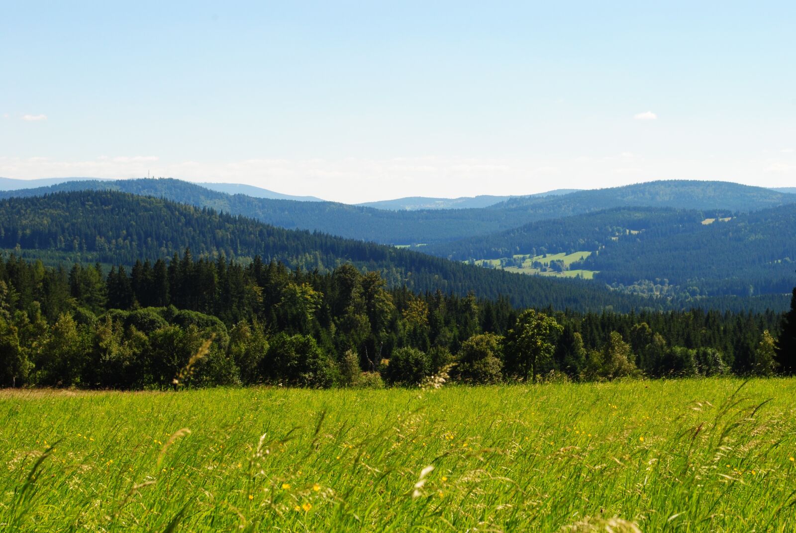Nikon D3000 sample photo. Panorama, view, green photography