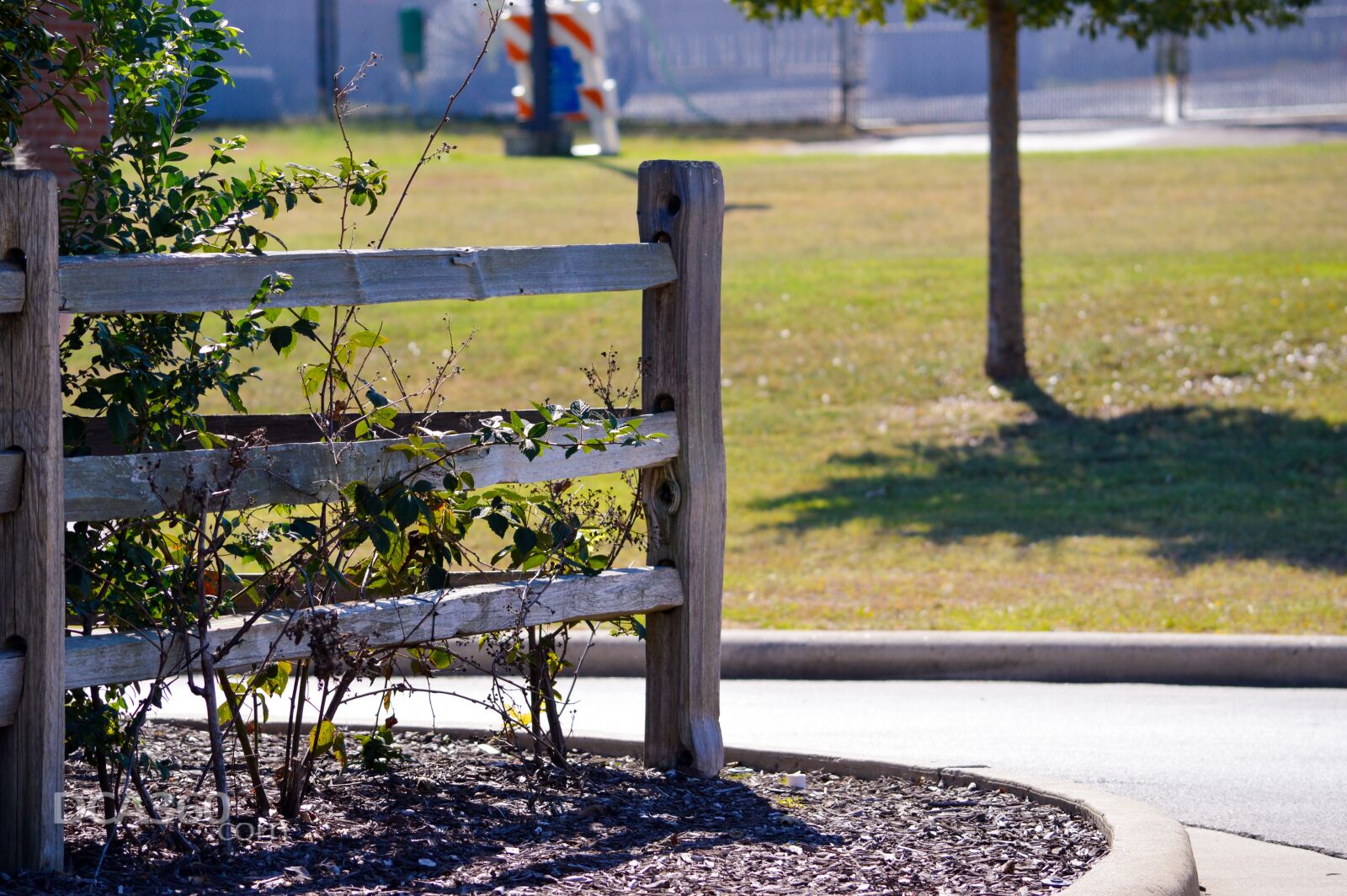 Nikon D3200 sample photo. Fence, post, mulch photography