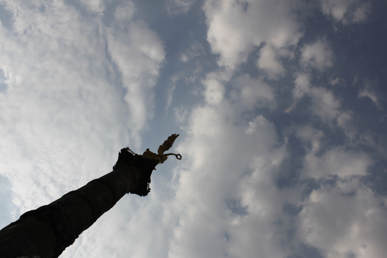 Canon EOS 500D (EOS Rebel T1i / EOS Kiss X3) sample photo. Angel, angel, de, la photography