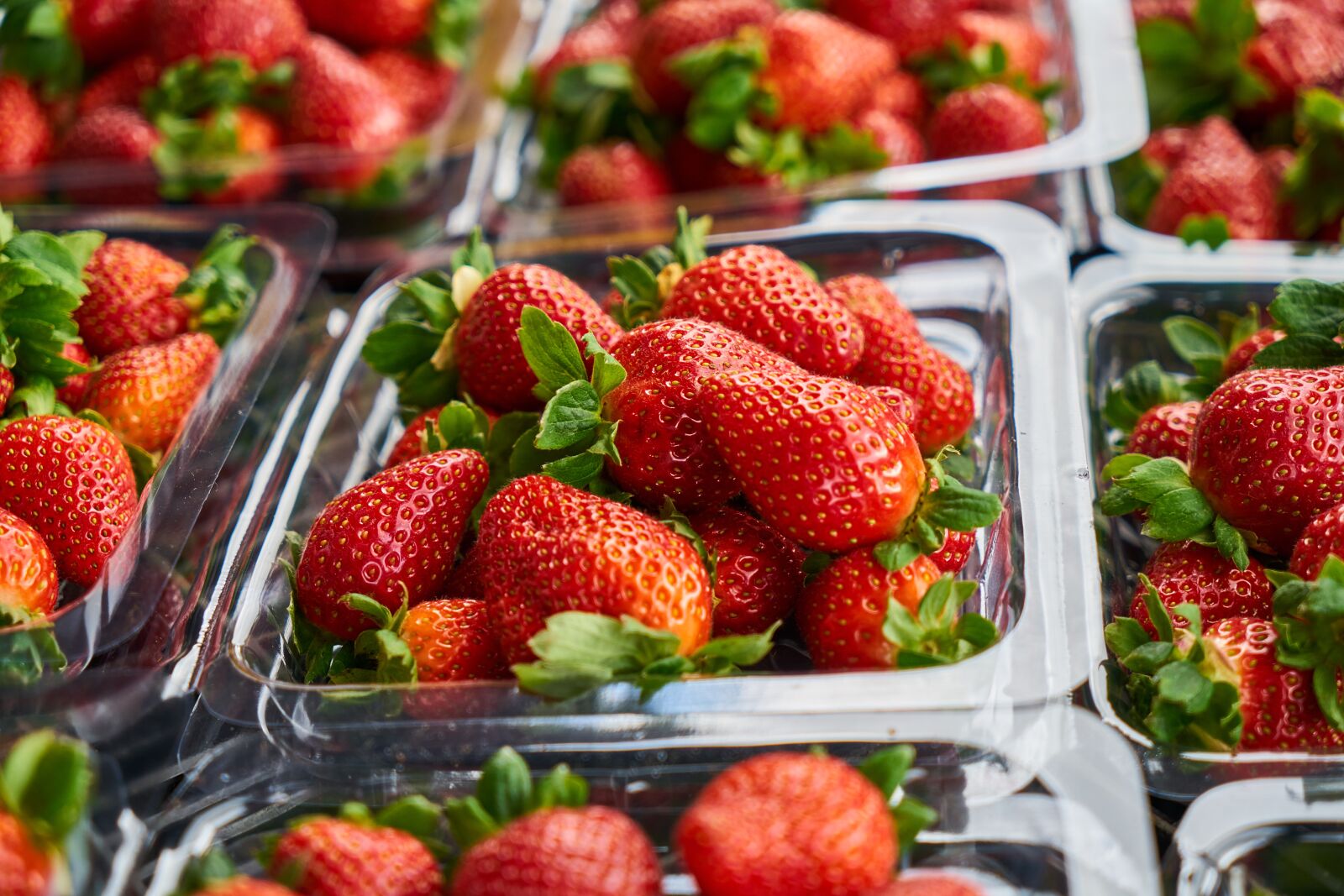 Sony a7R II sample photo. Strawberry, red, horizontal photography