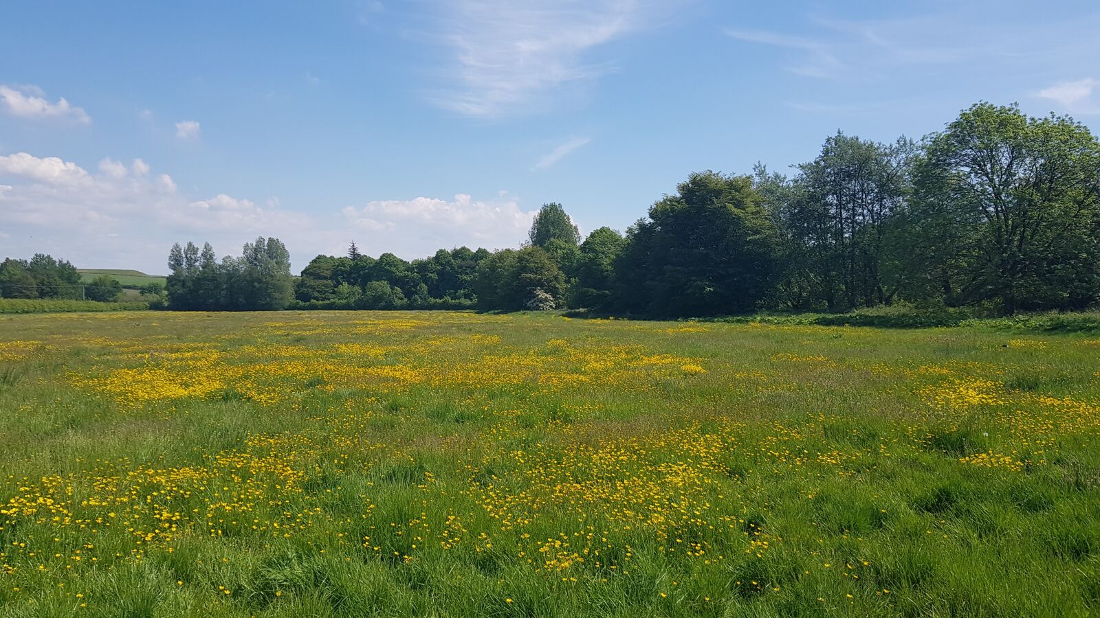Samsung Galaxy S8 sample photo. Field, dalry, scotland photography