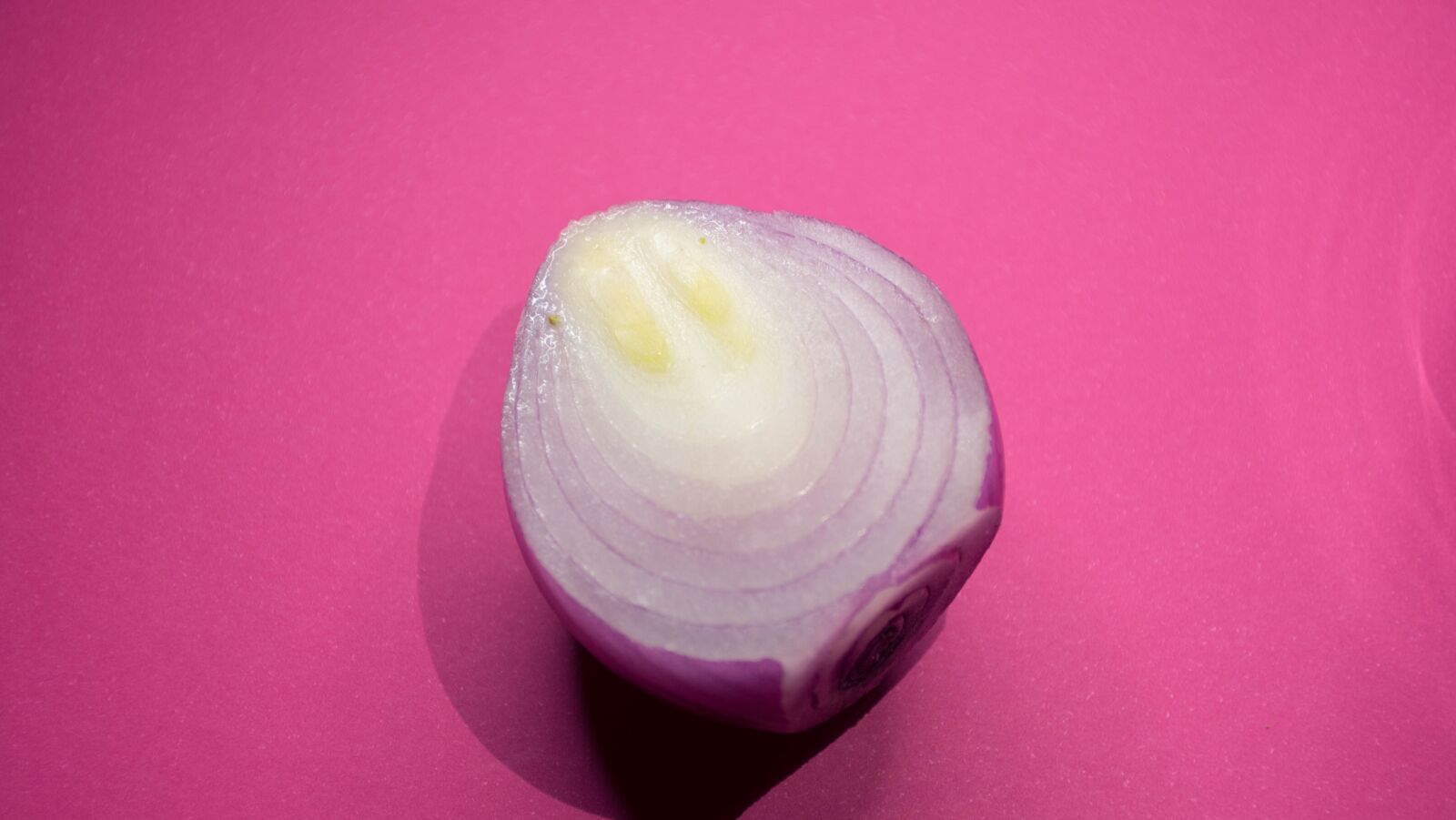 Nikon D7200 sample photo. Onion, kitchen, cooking photography