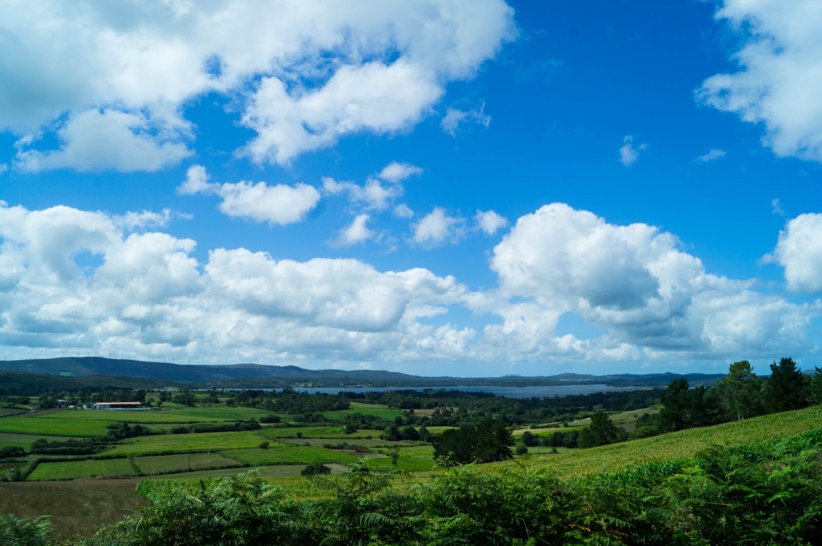 Sony SLT-A37 sample photo. Nature, green, sky photography