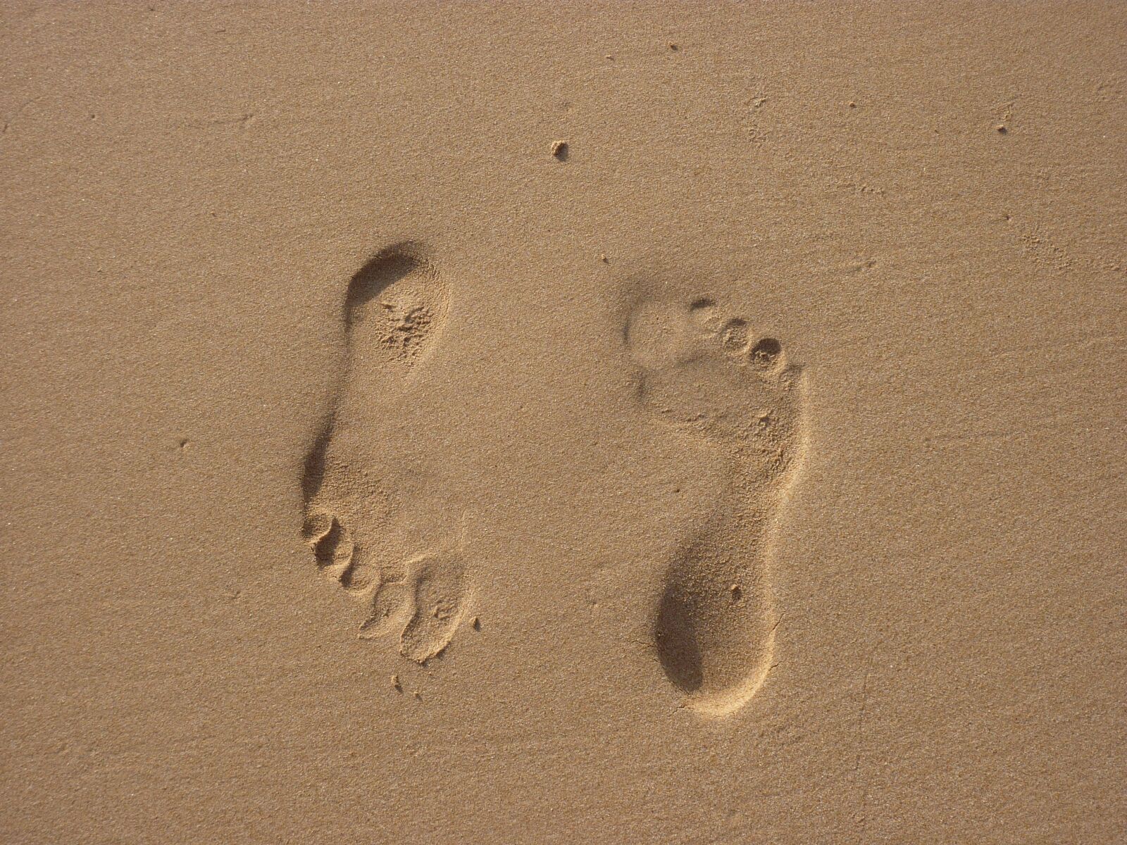 Panasonic Lumix DMC-ZS1 (Lumix DMC-TZ6) sample photo. Tracks in the sand photography