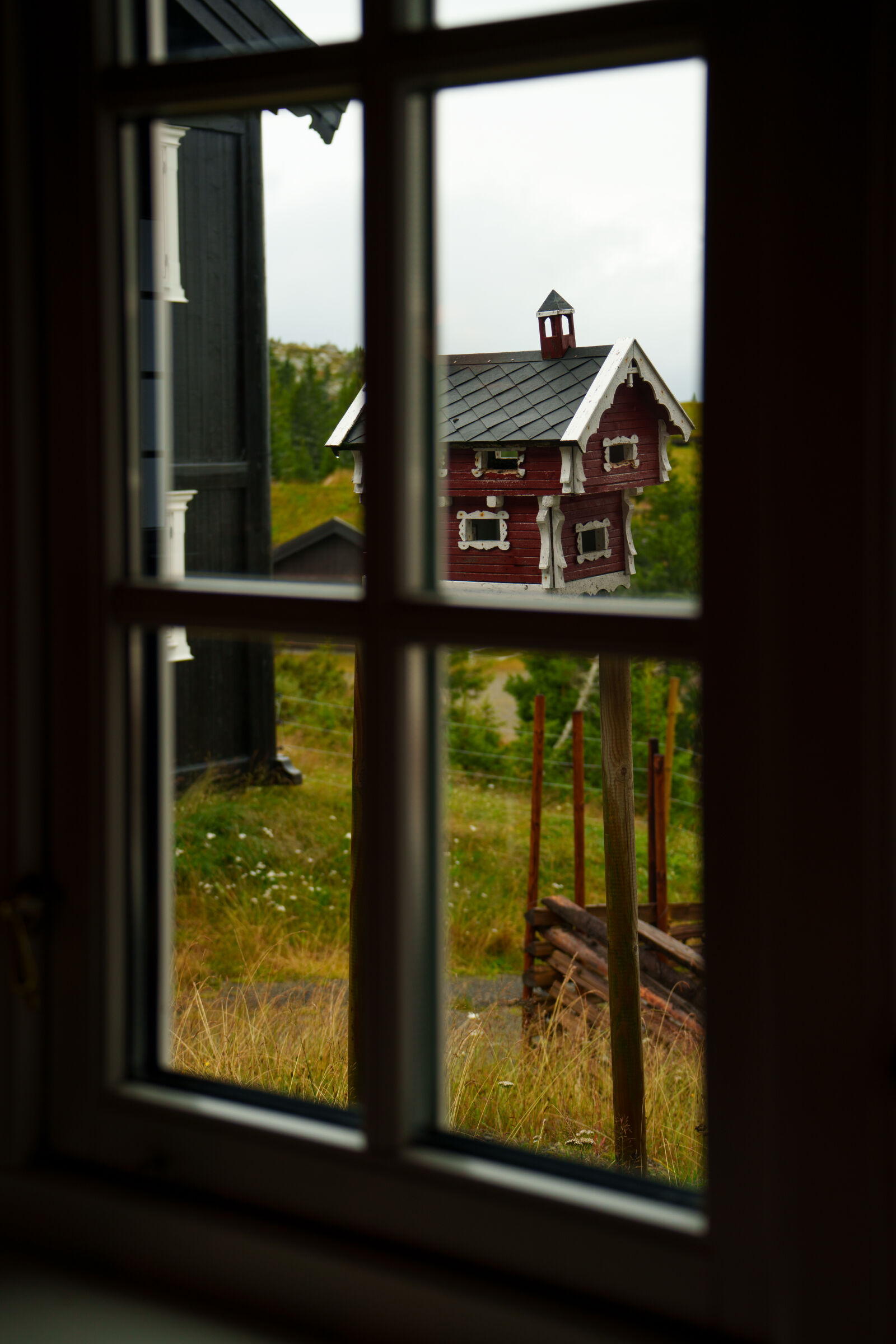 Sony a7R V sample photo. The wide view photography