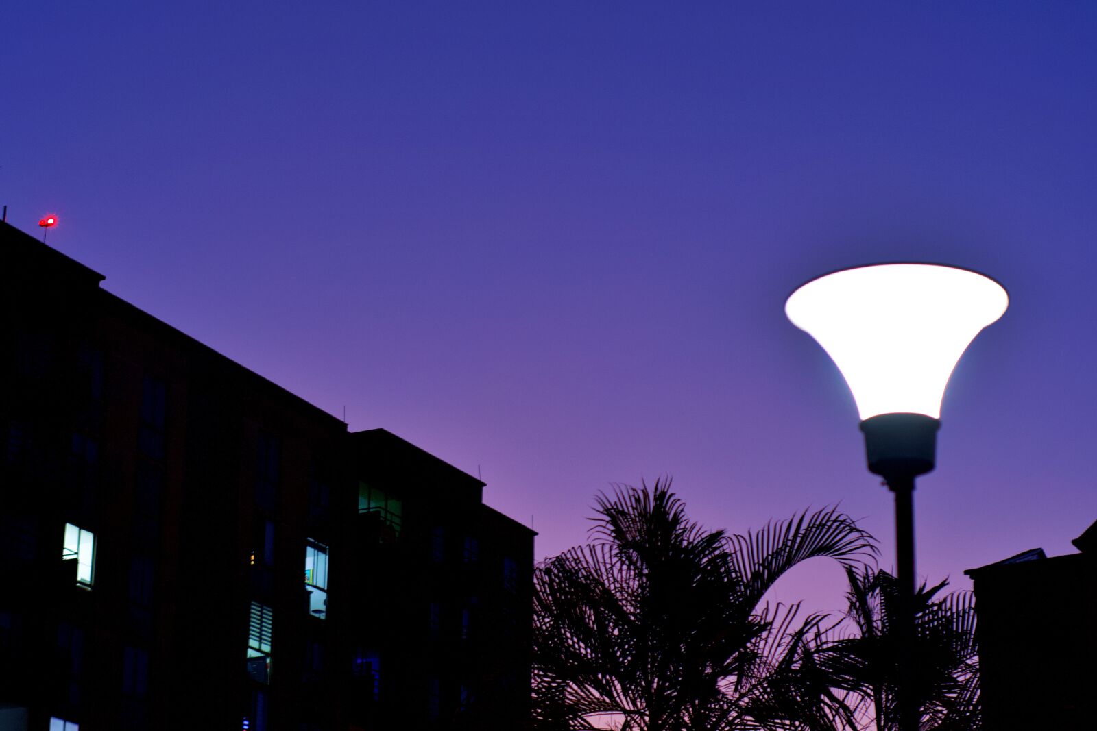 Nikon D7500 sample photo. Night, lamp, city photography