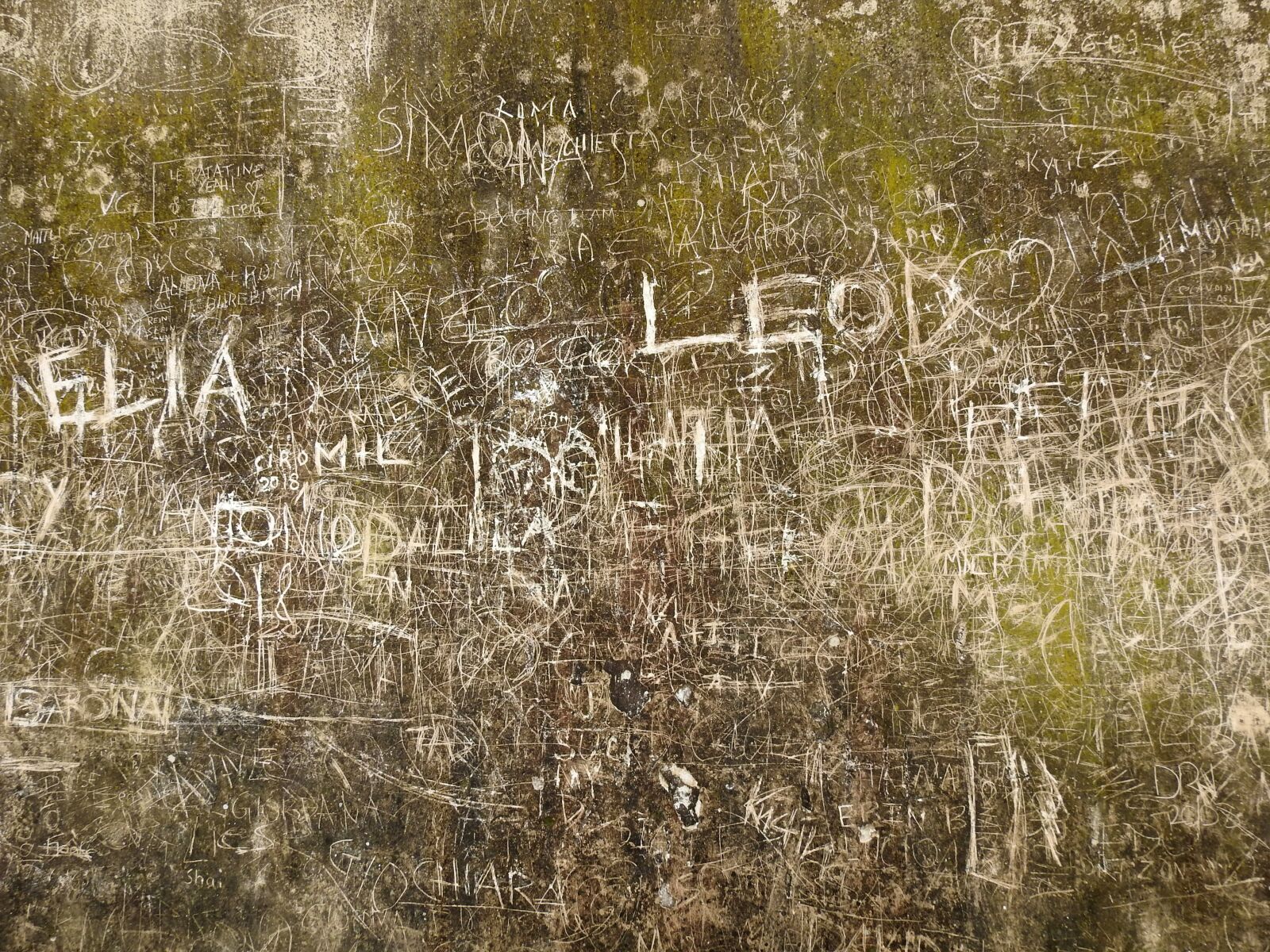 Nikon Coolpix P900 sample photo. Texture, grunge, wall photography