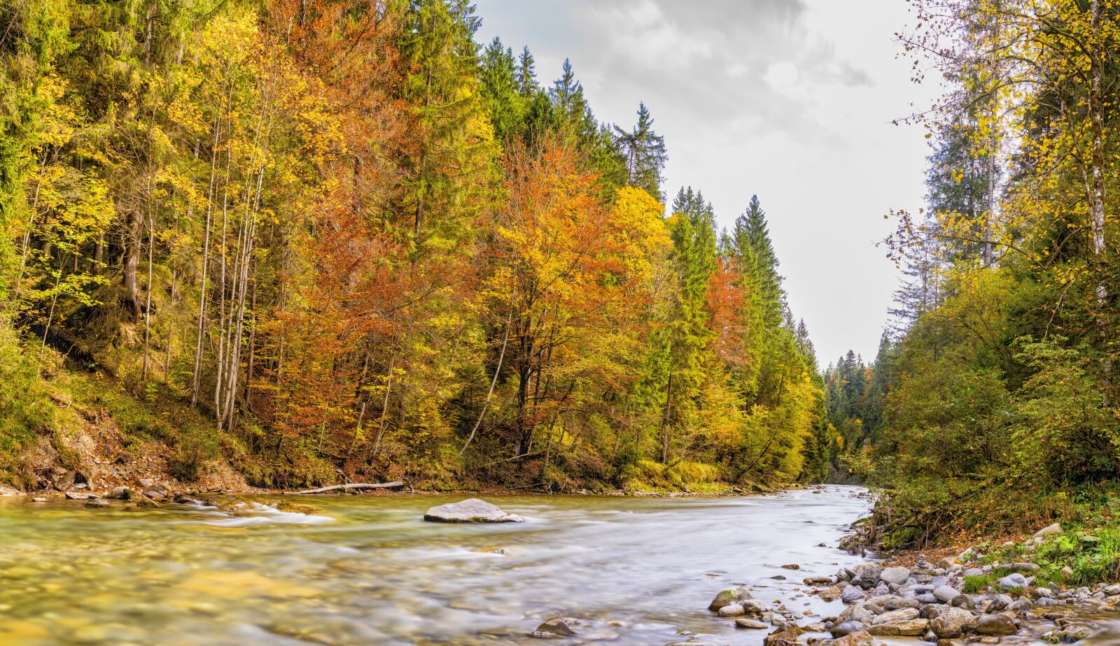 Sony a6300 + Sigma 30mm F2.8 EX DN sample photo. Ammer, river, autumn photography
