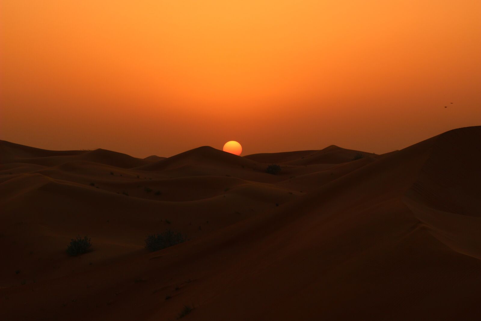 Canon EOS 100D (EOS Rebel SL1 / EOS Kiss X7) sample photo. Sunset, desert, dawn photography