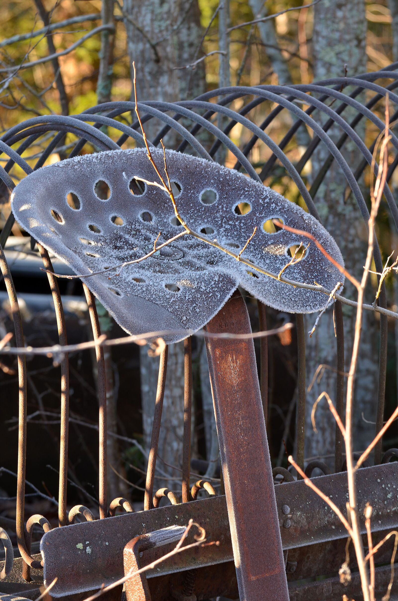 Nikon D5100 sample photo. Rake, seat, rusty photography