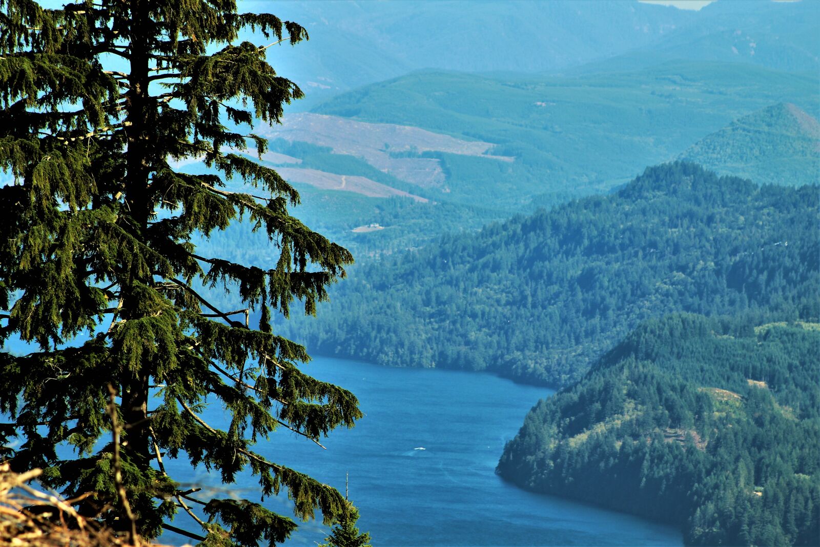 Canon EOS 1300D (EOS Rebel T6 / EOS Kiss X80) sample photo. Hazy summer, lake merwin photography