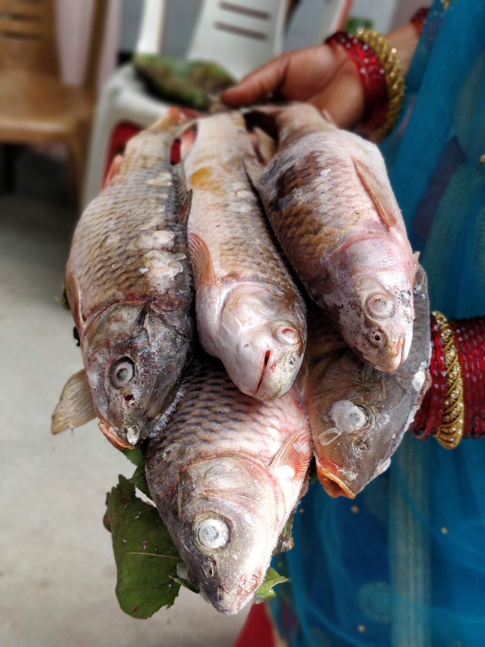 OnePlus 5 sample photo. Rapti, trout, raw meat photography