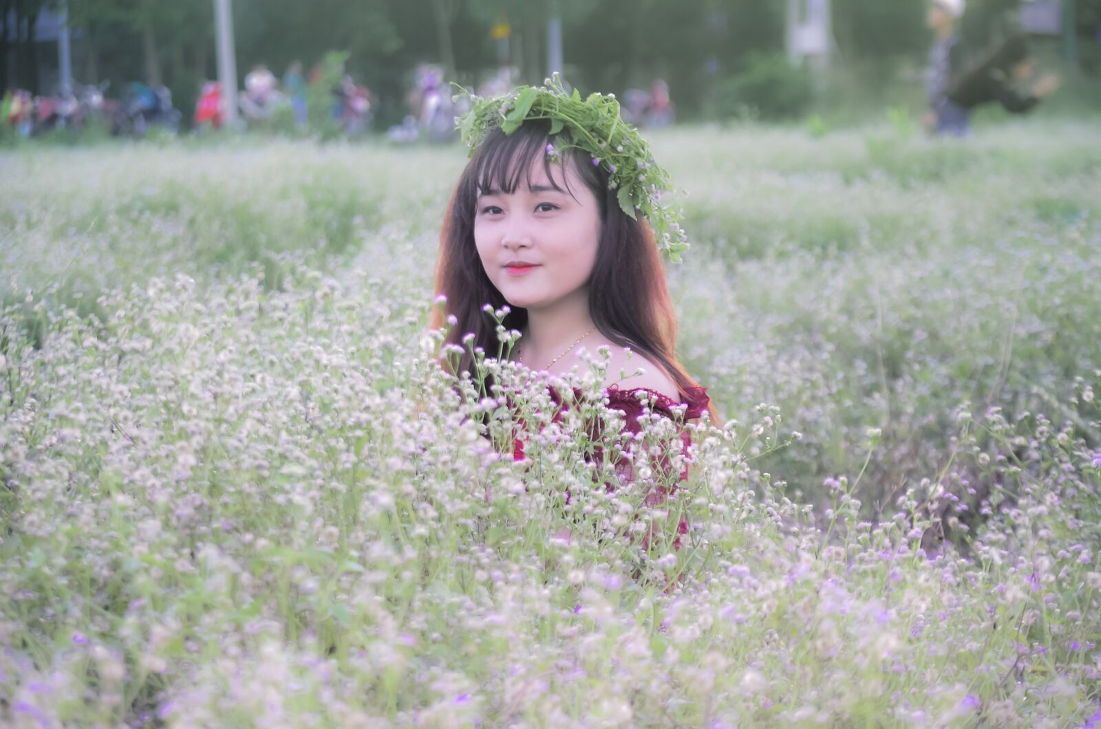 Nikon D5100 sample photo. Girl, field of flowers photography