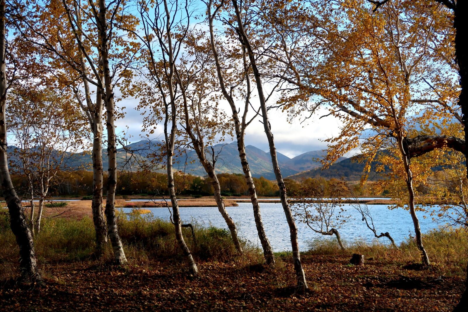 Canon PowerShot G7 X Mark II sample photo. Lake, forest, autumn photography