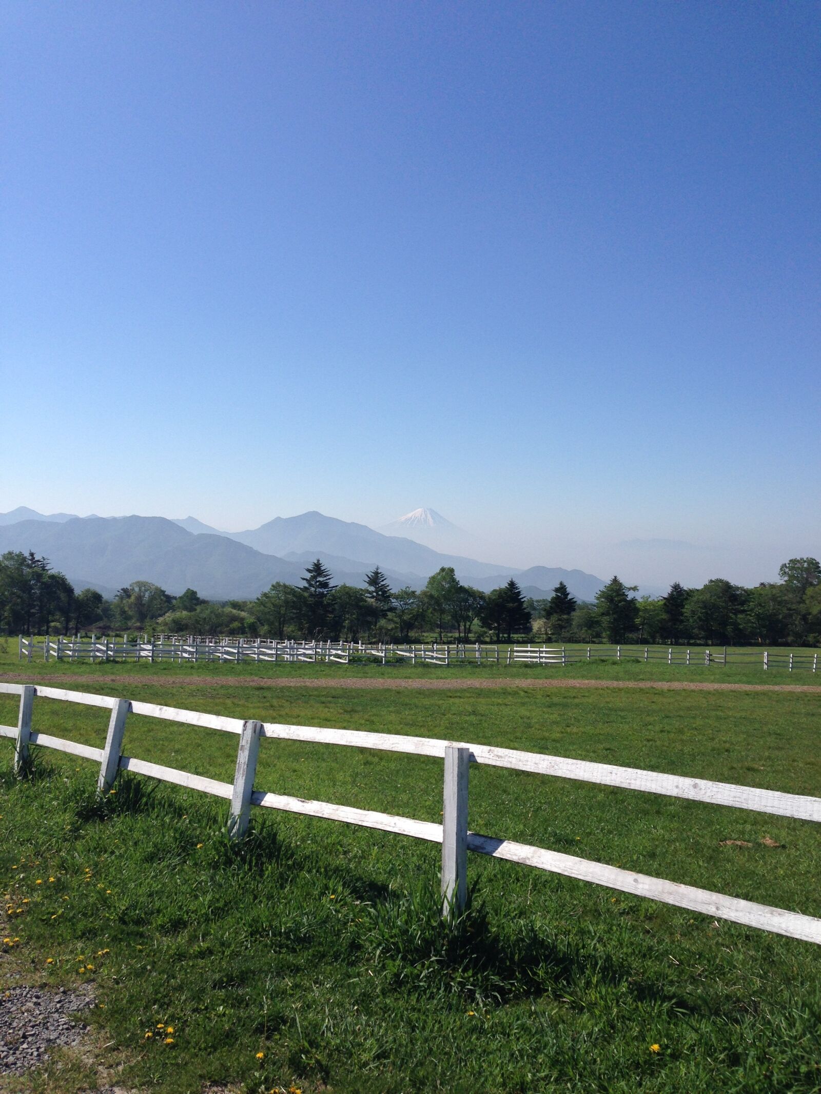 iPhone 5 back camera 4.12mm f/2.4 sample photo. Mt fuji, ranch, blue photography