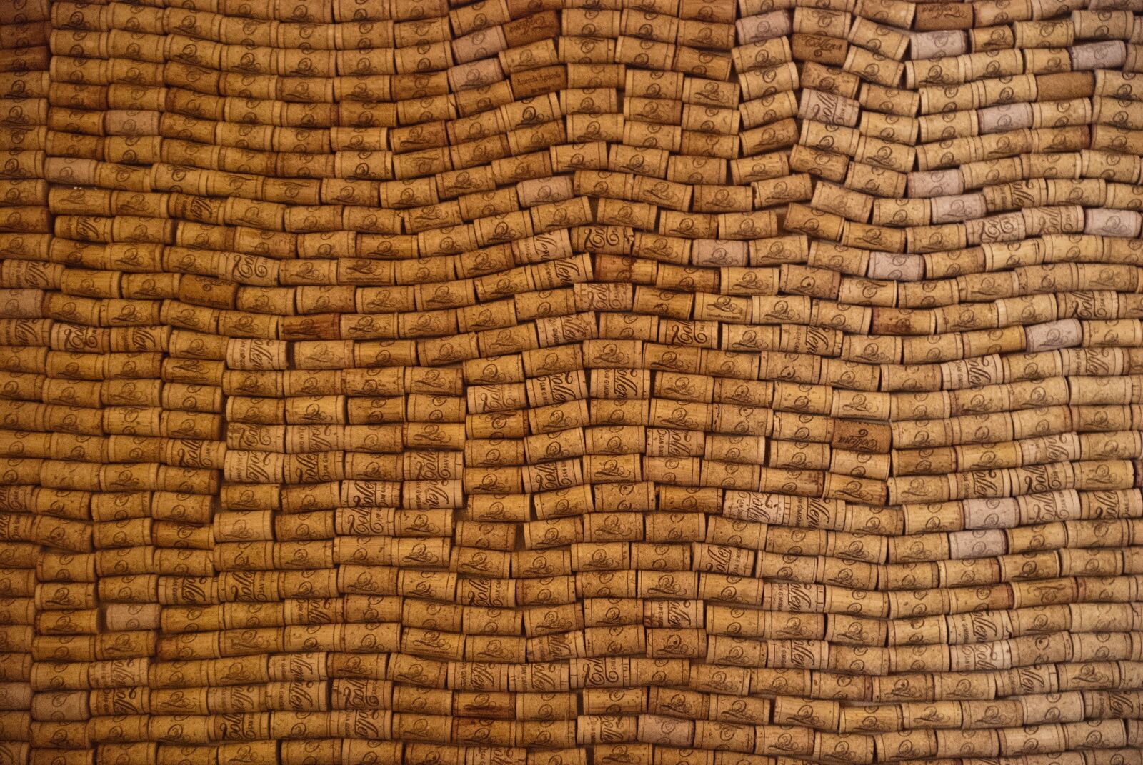 Nikon D80 sample photo. Background, pattern, texture photography