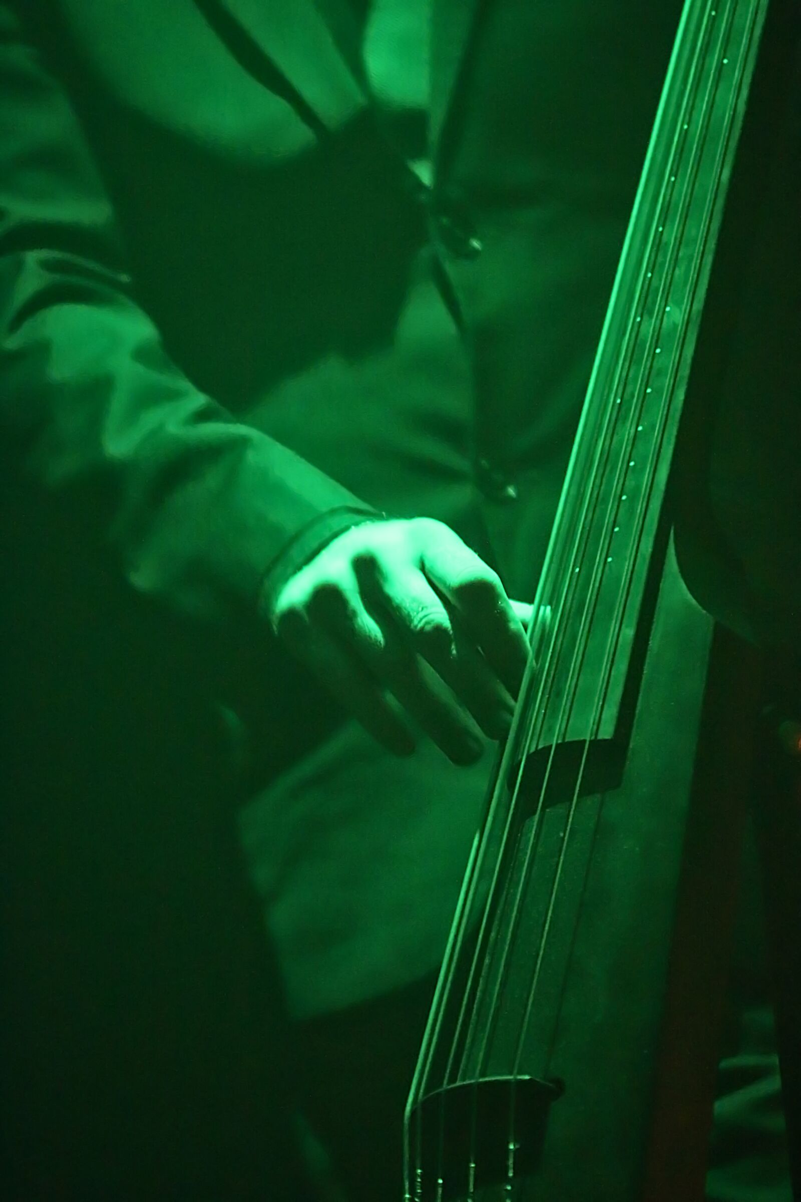 Canon EOS 70D sample photo. Musician, concert, double bass photography
