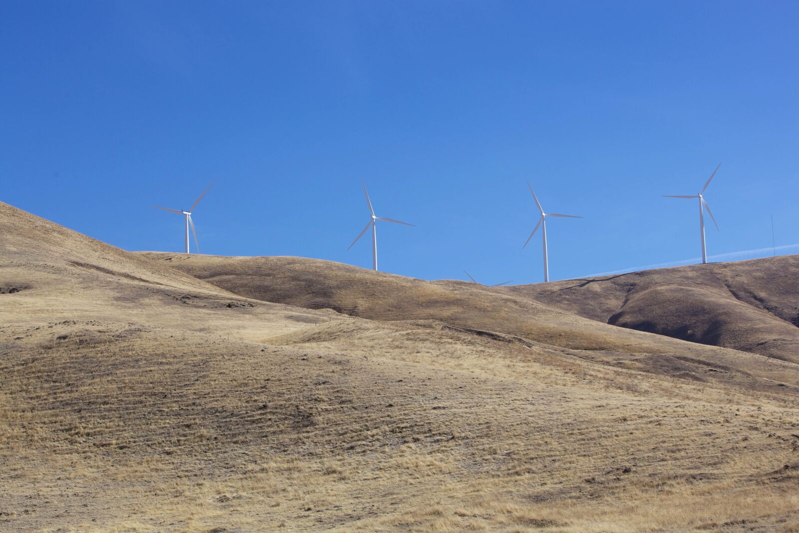 Canon EOS 5D Mark II sample photo. Wind turbines, create, energy photography