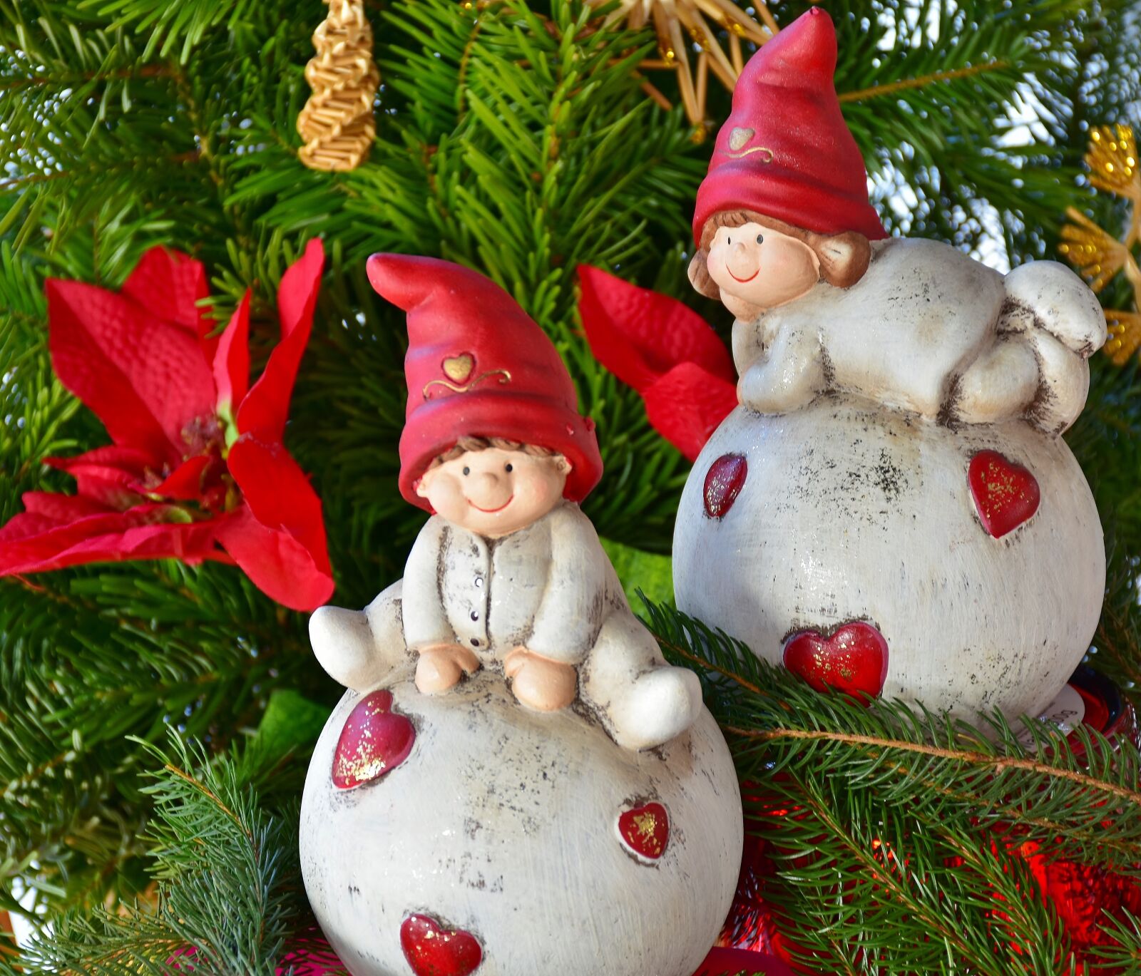Nikon D7200 sample photo. Baby doll, imp, dwarfs photography