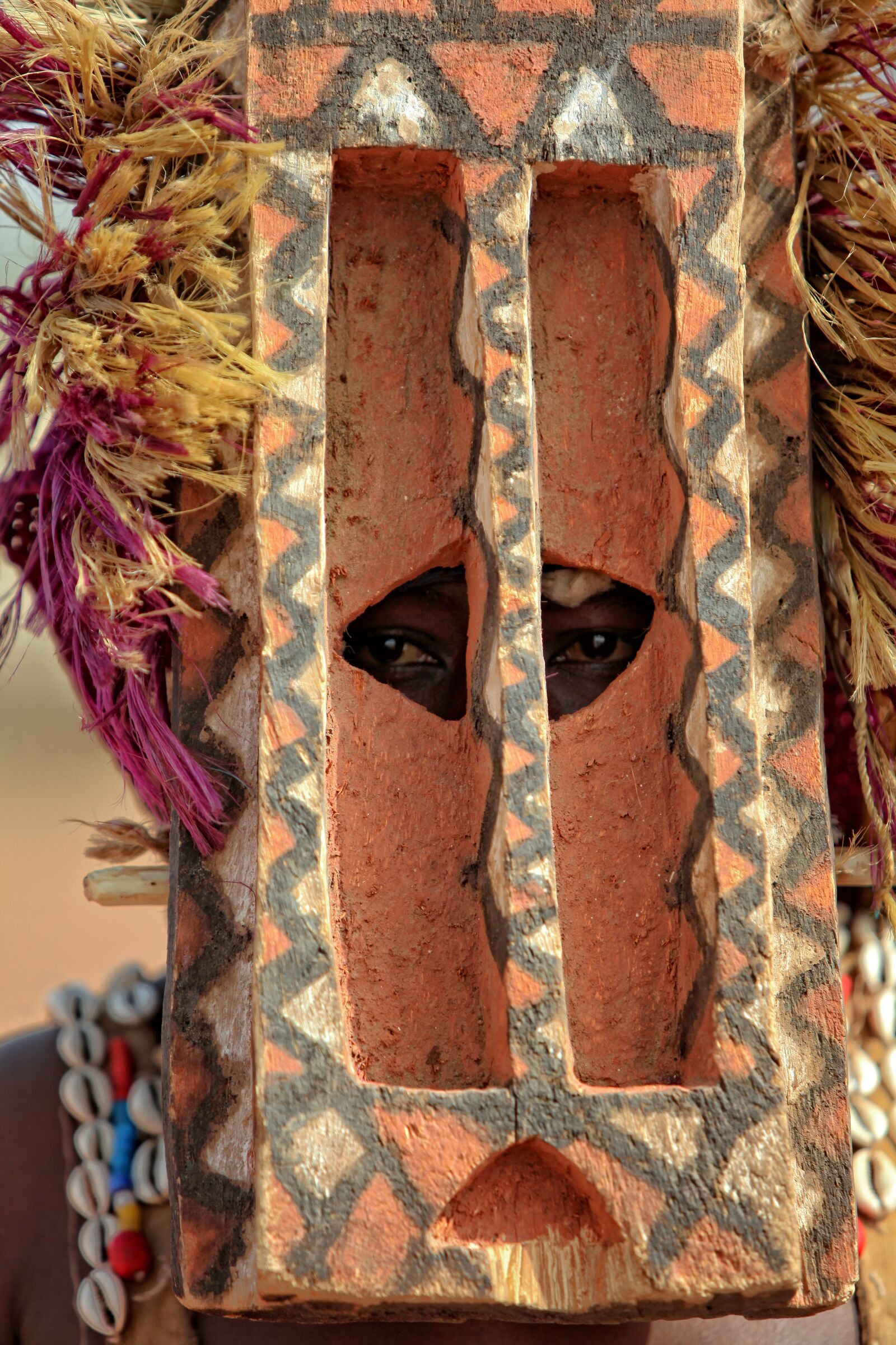 Canon EOS 5D Mark II sample photo. Africa, festival, mask photography