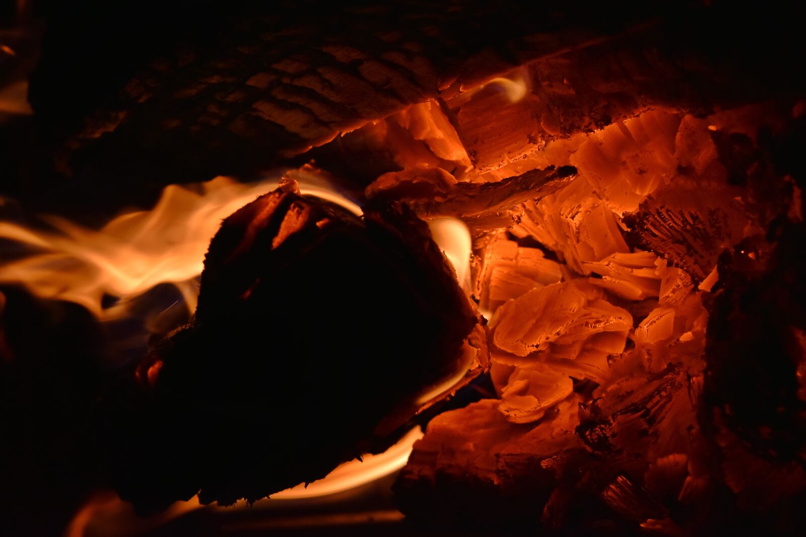 Nikon D5500 sample photo. Burn, heat, ignite, warm photography