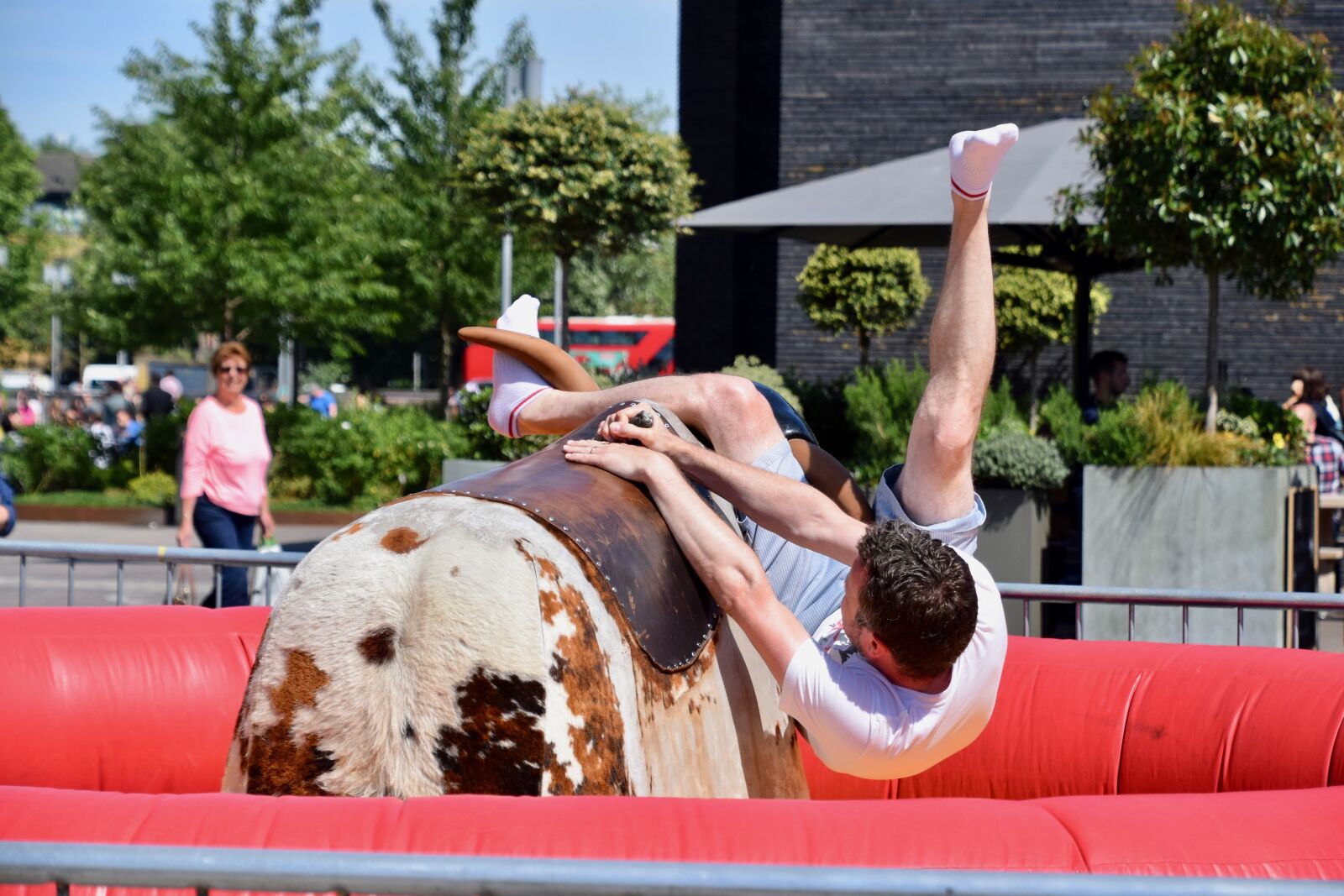 Nikon D3300 sample photo. Balance, bull, falling photography