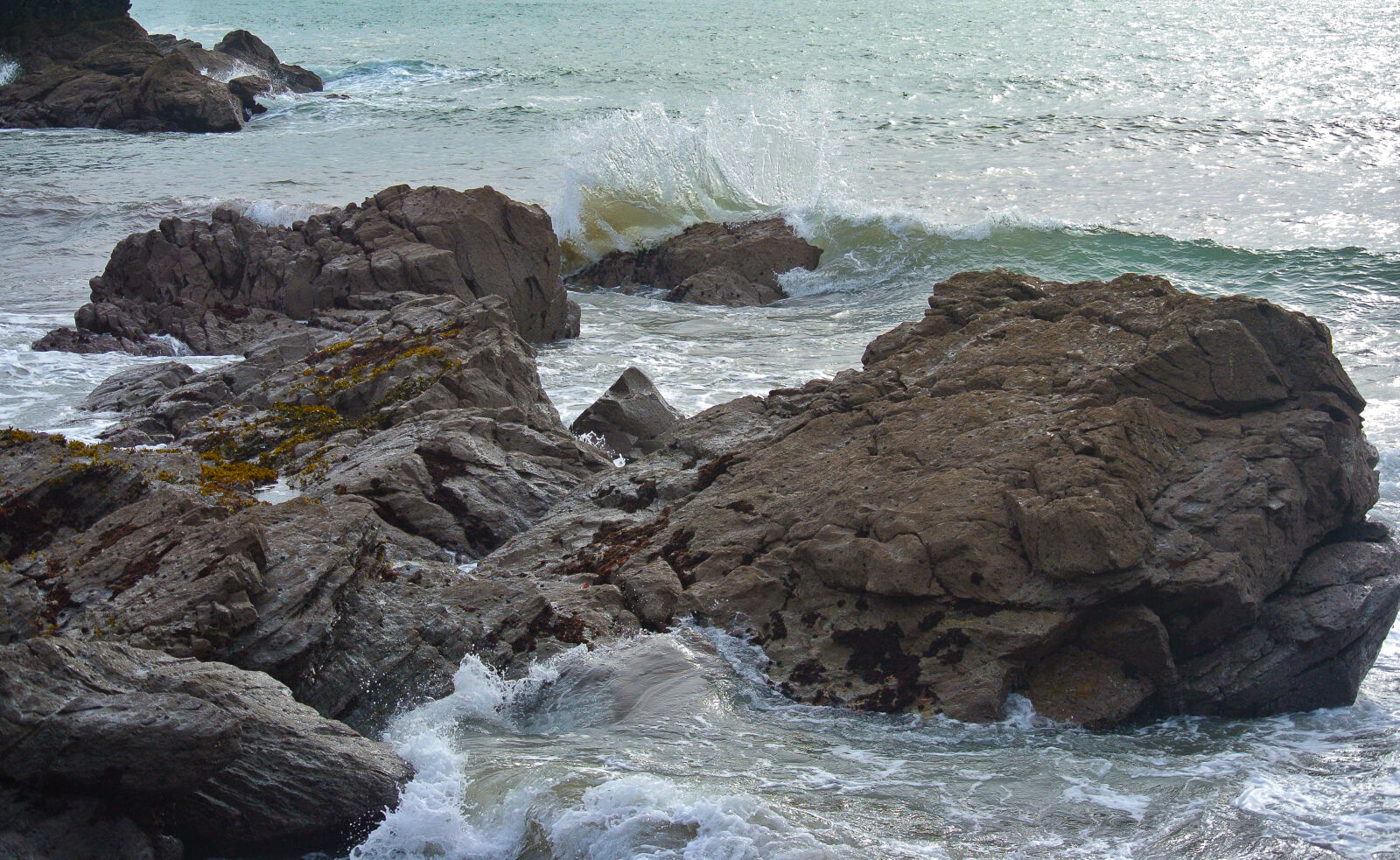 Nikon 1 J1 sample photo. Algae, barnacle, barnacles, cliff photography