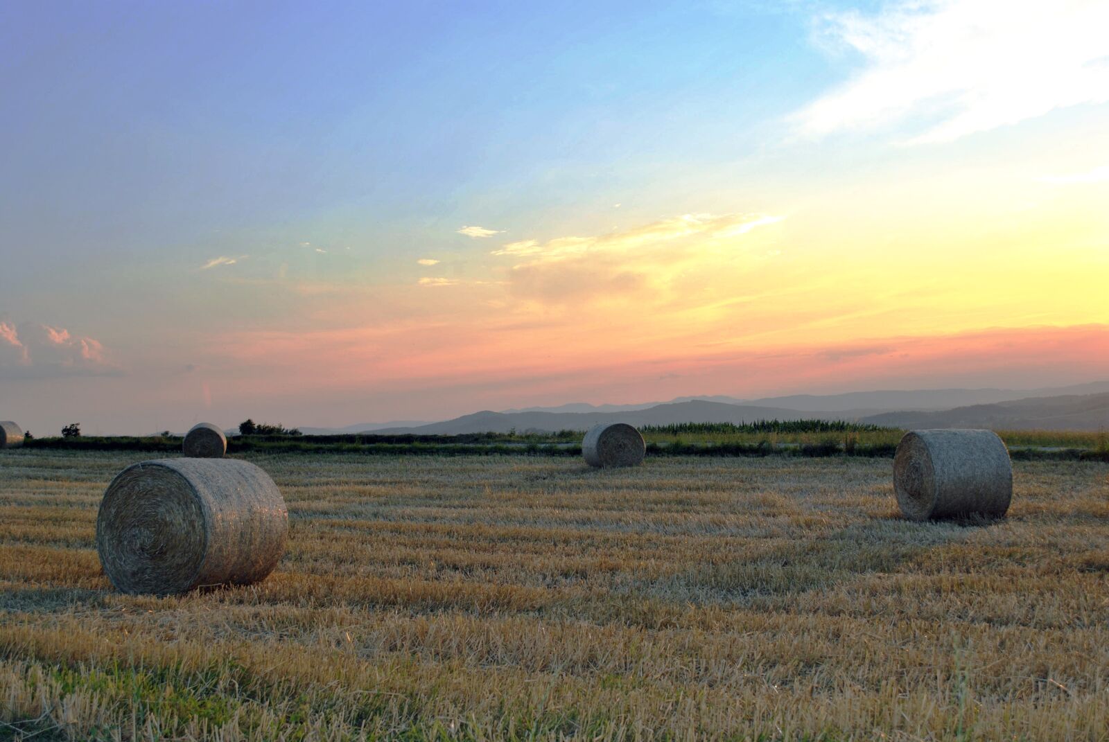 Nikon D3000 sample photo. Nature, farm, farming photography