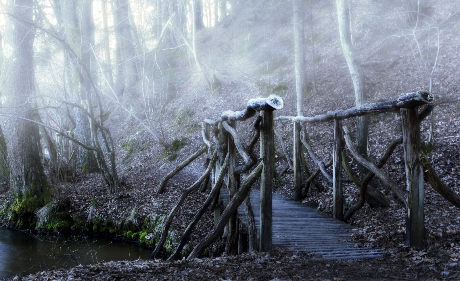 Canon EOS 60D sample photo. Bridge, color, the fog photography