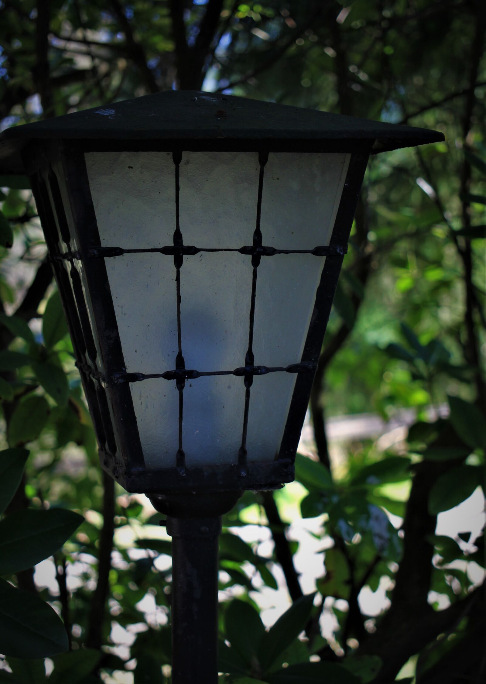 Canon EOS 7D sample photo. Lantern, light, lamp photography