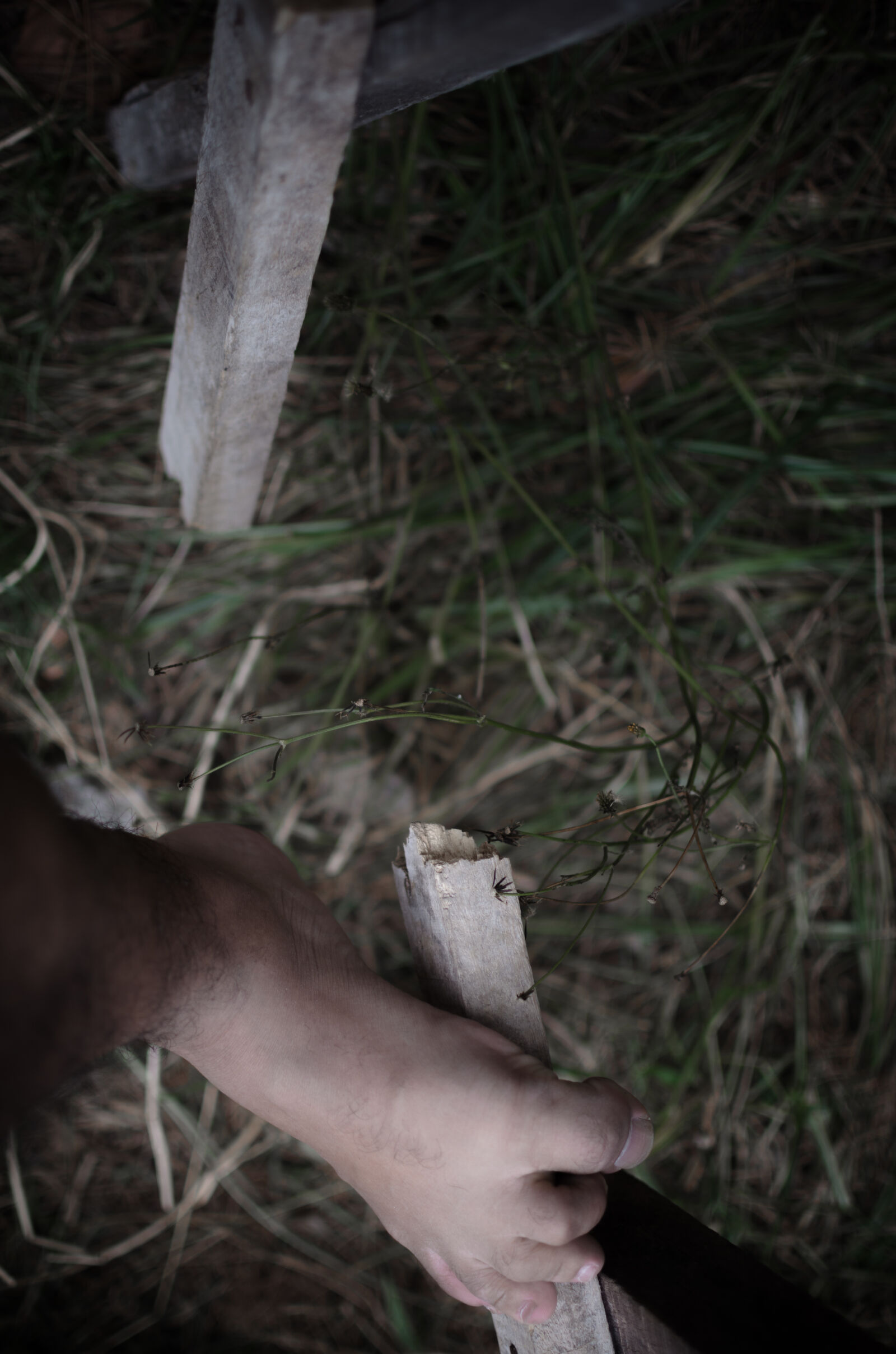 Nikon D5100 + Nikon AF-S DX Nikkor 35mm F1.8G sample photo. Broken, feet, grass, ladder photography