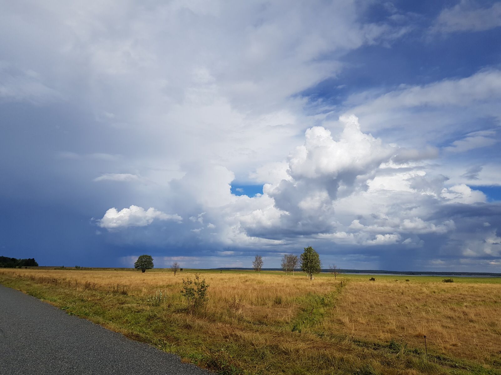 Samsung Galaxy S8 sample photo. Summer, rain, weather photography