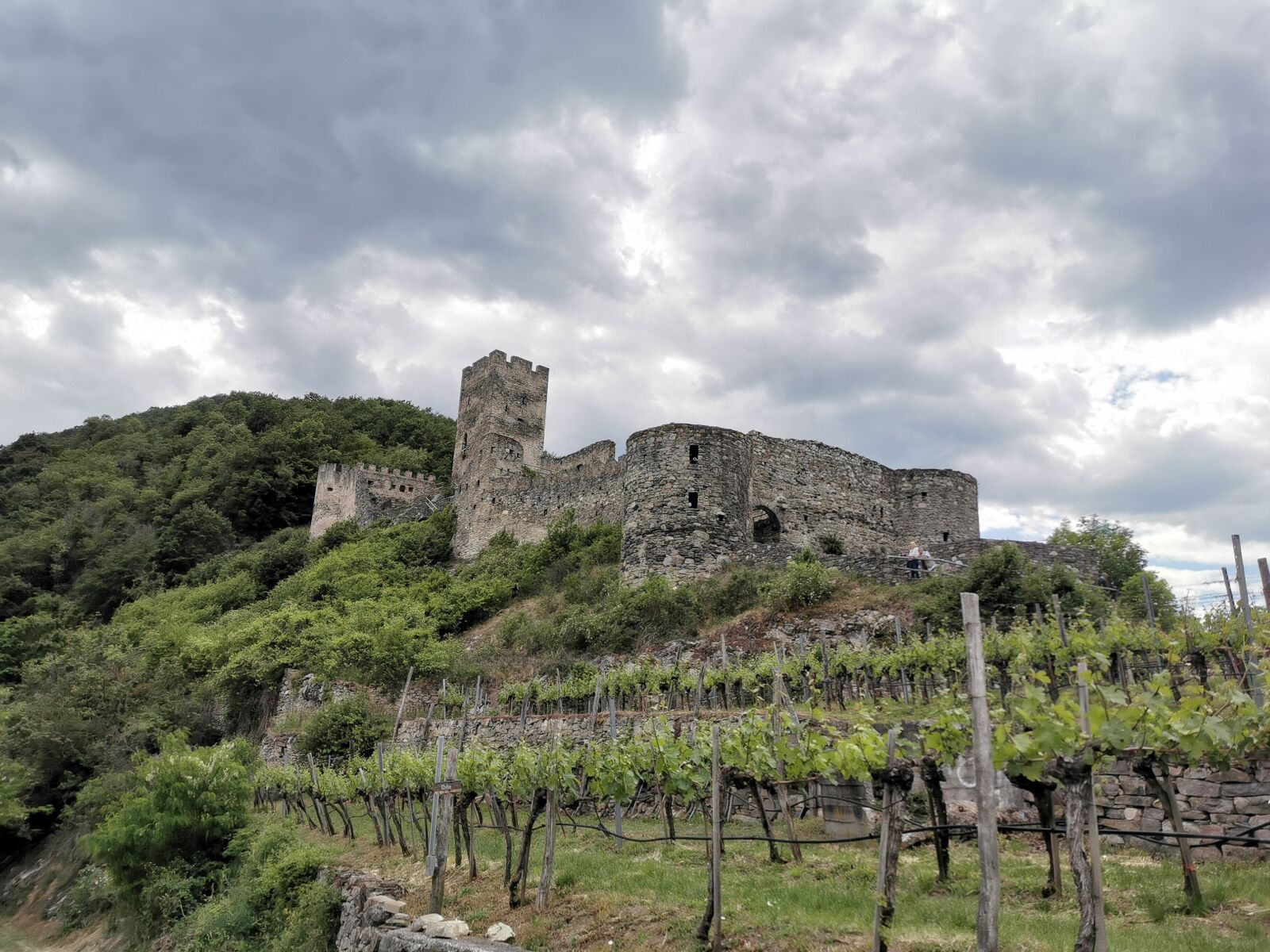 HUAWEI P30 sample photo. Ruin, castle, vineyard photography