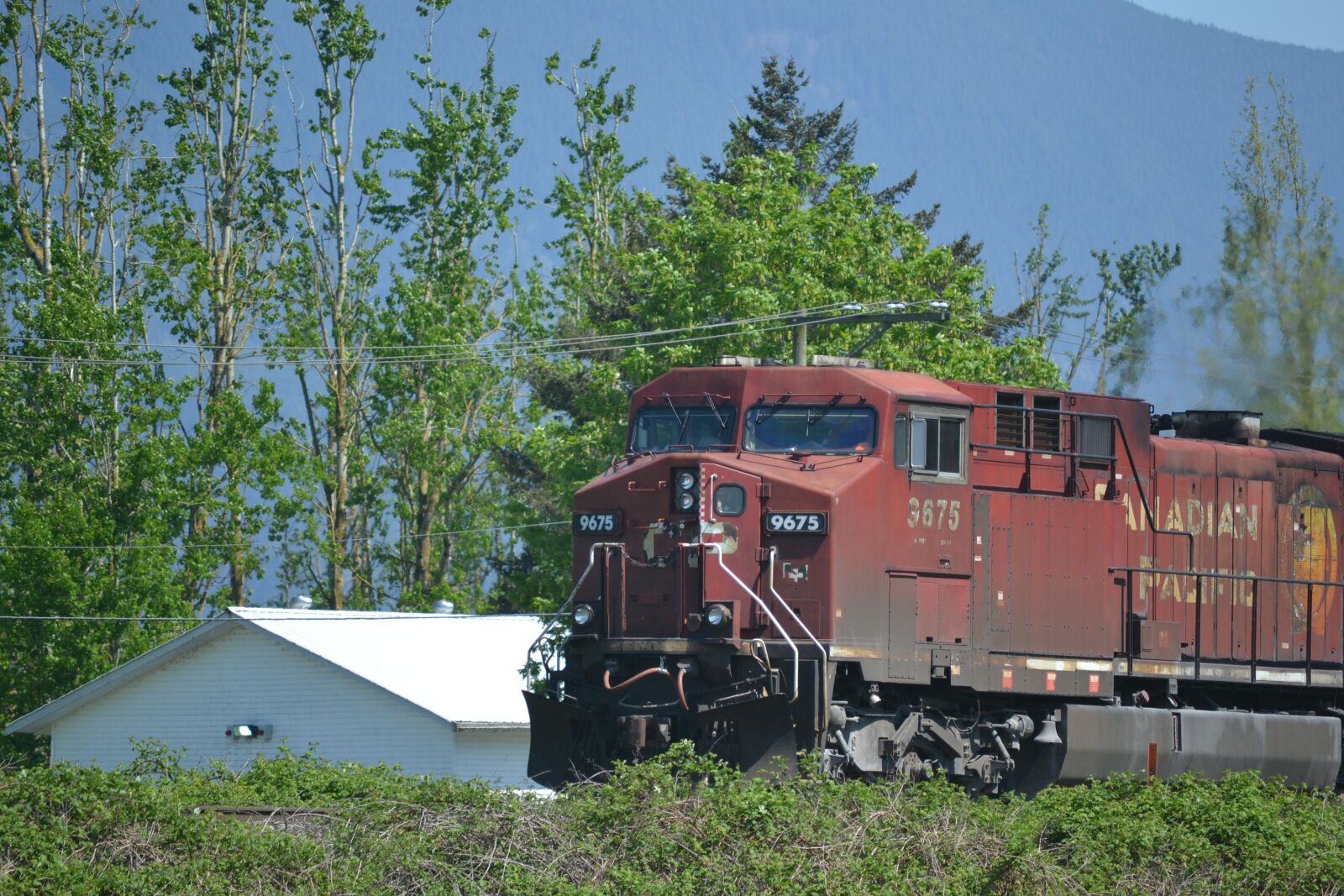 Nikon D3100 sample photo. Train, red, trees photography