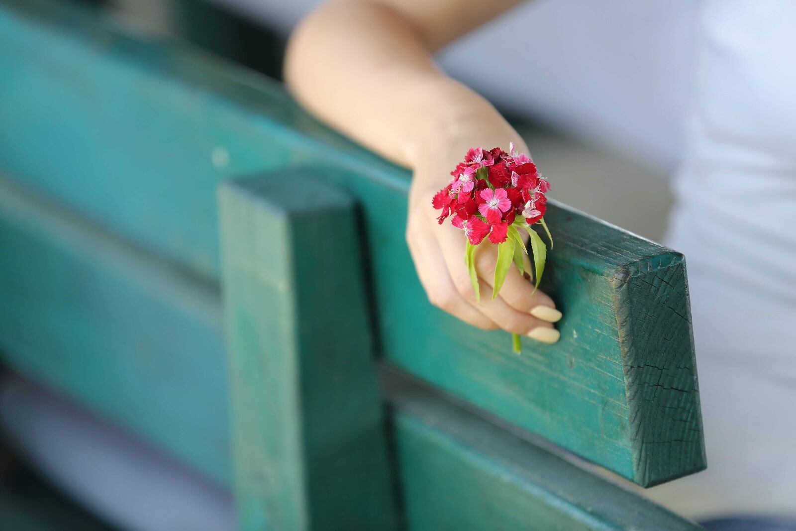 Canon EOS 5D Mark III sample photo. Hand, flowers, bench, manicure photography