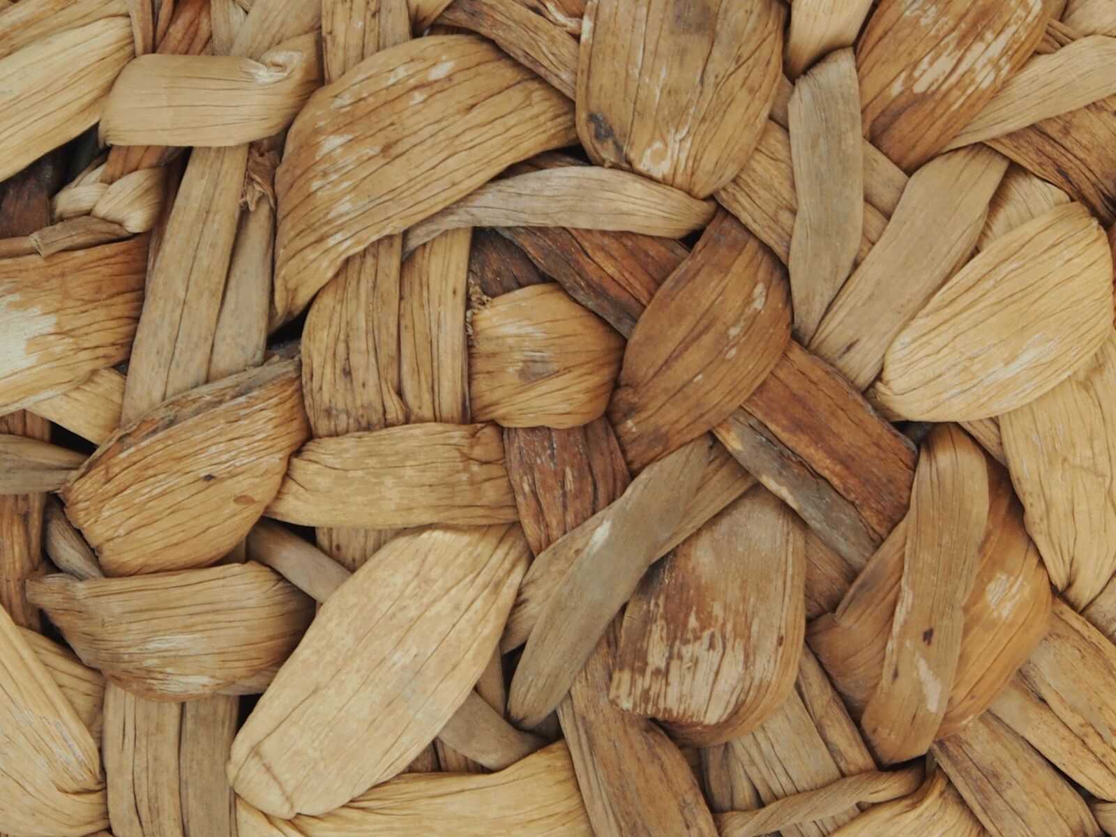 Olympus OM-D E-M5 sample photo. Wood, woods, background photography