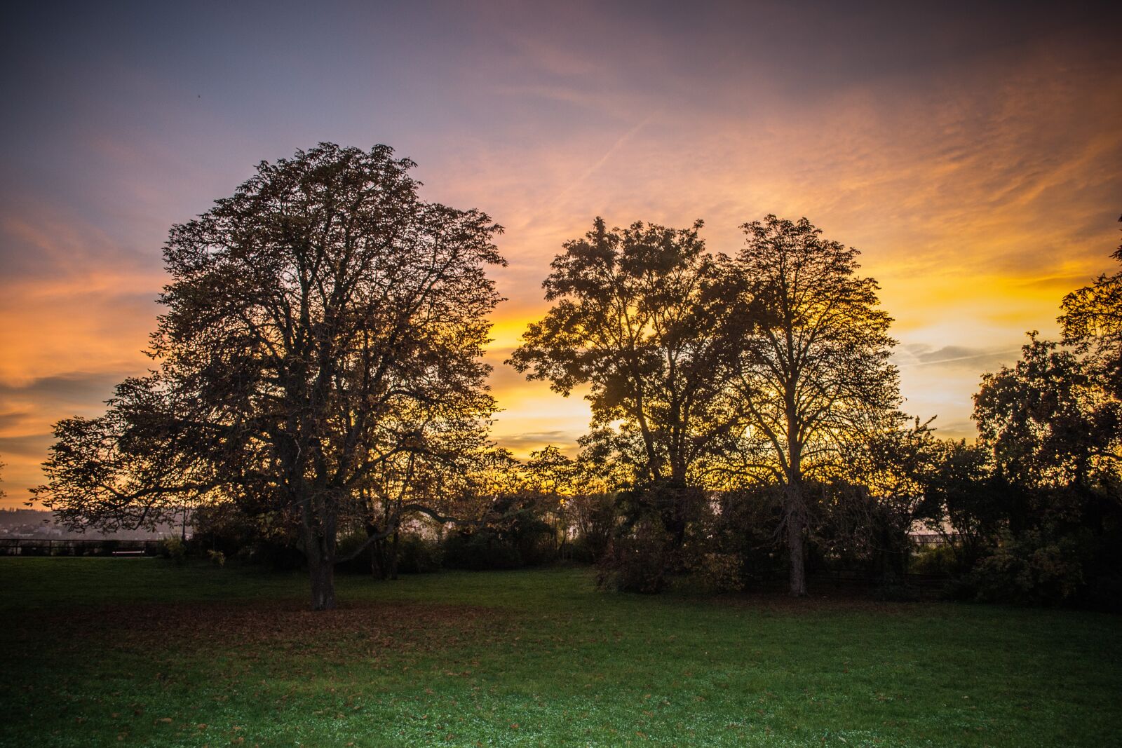 Nikon D3100 sample photo. Twilight, park, landscape photography