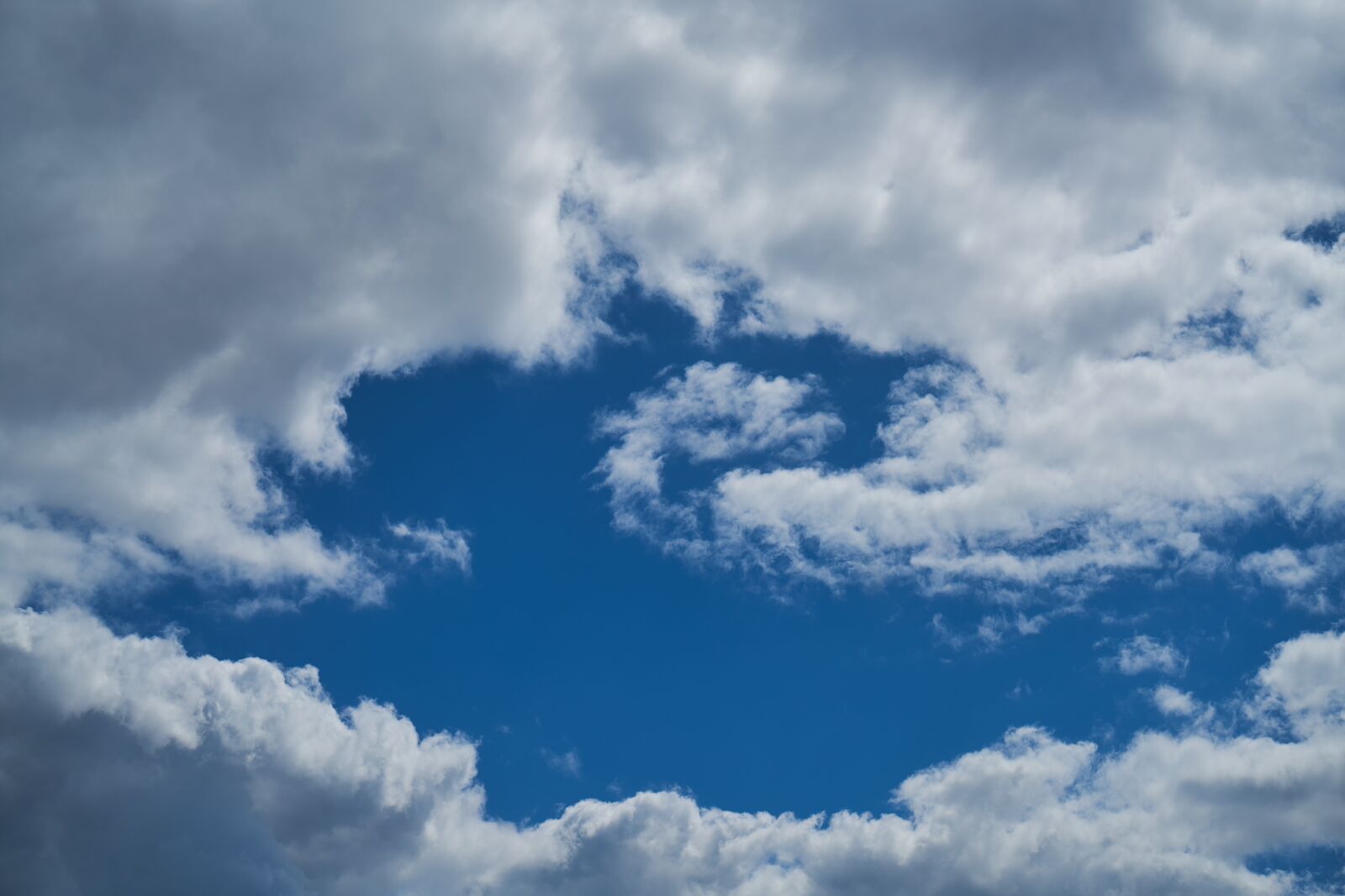 Sony a7R II sample photo. Nature, summer, cloud photography